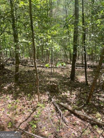Lot 13 Woodbrier Sautee Nacoochee GA 30571
