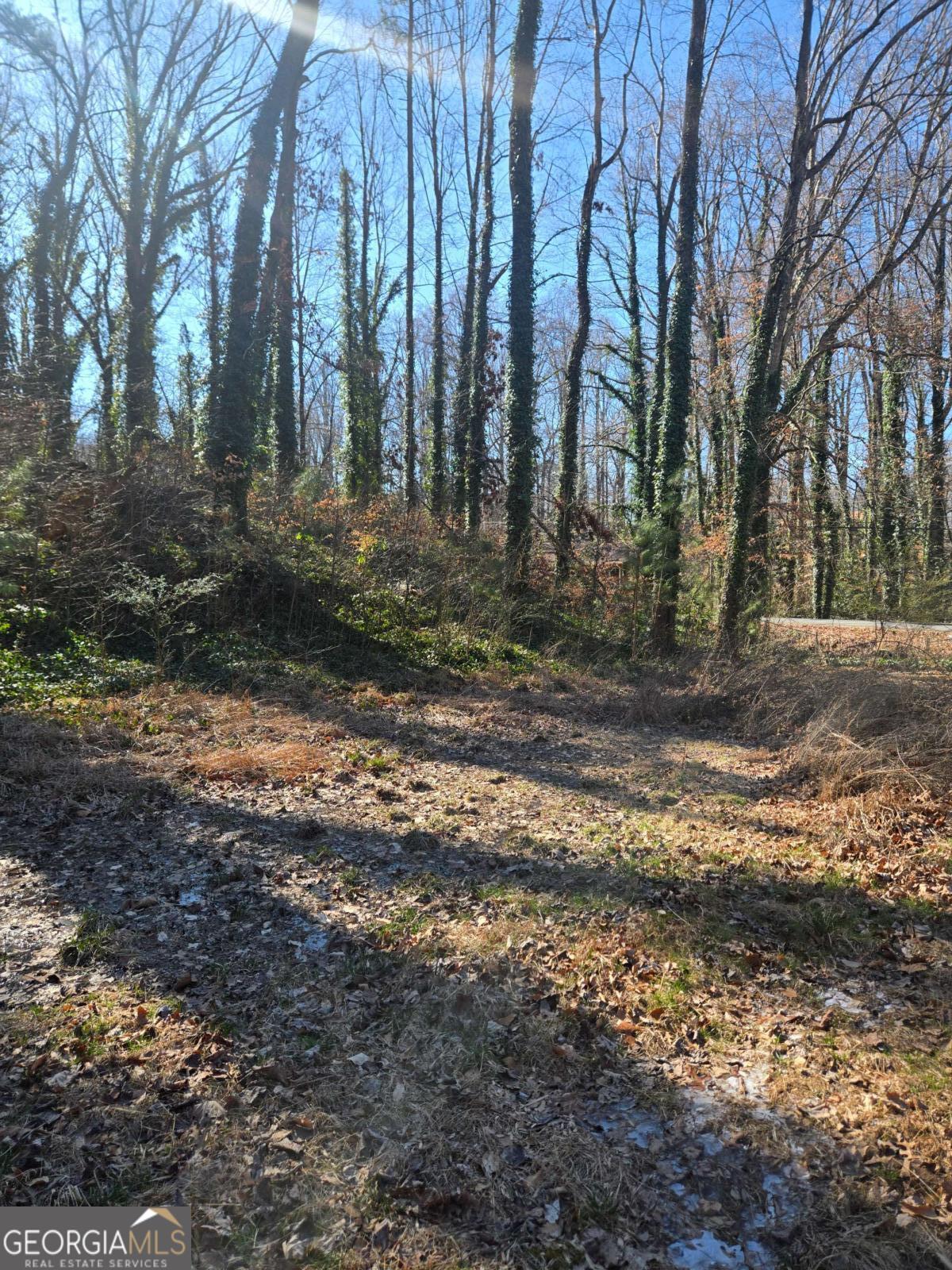 5674 Woodland Drive Acworth GA 30102