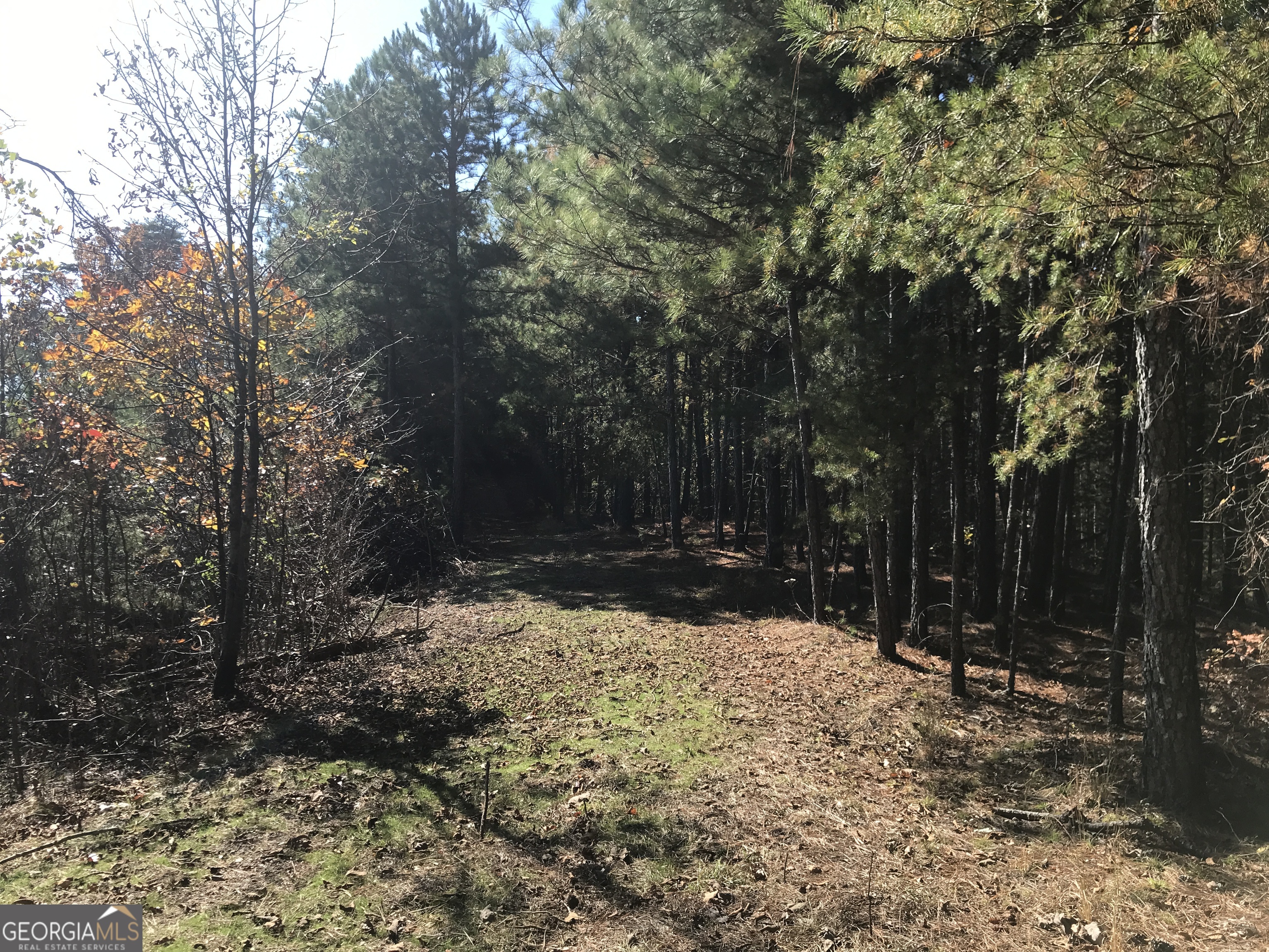0 Old Oakman Road NE Ranger GA 30734