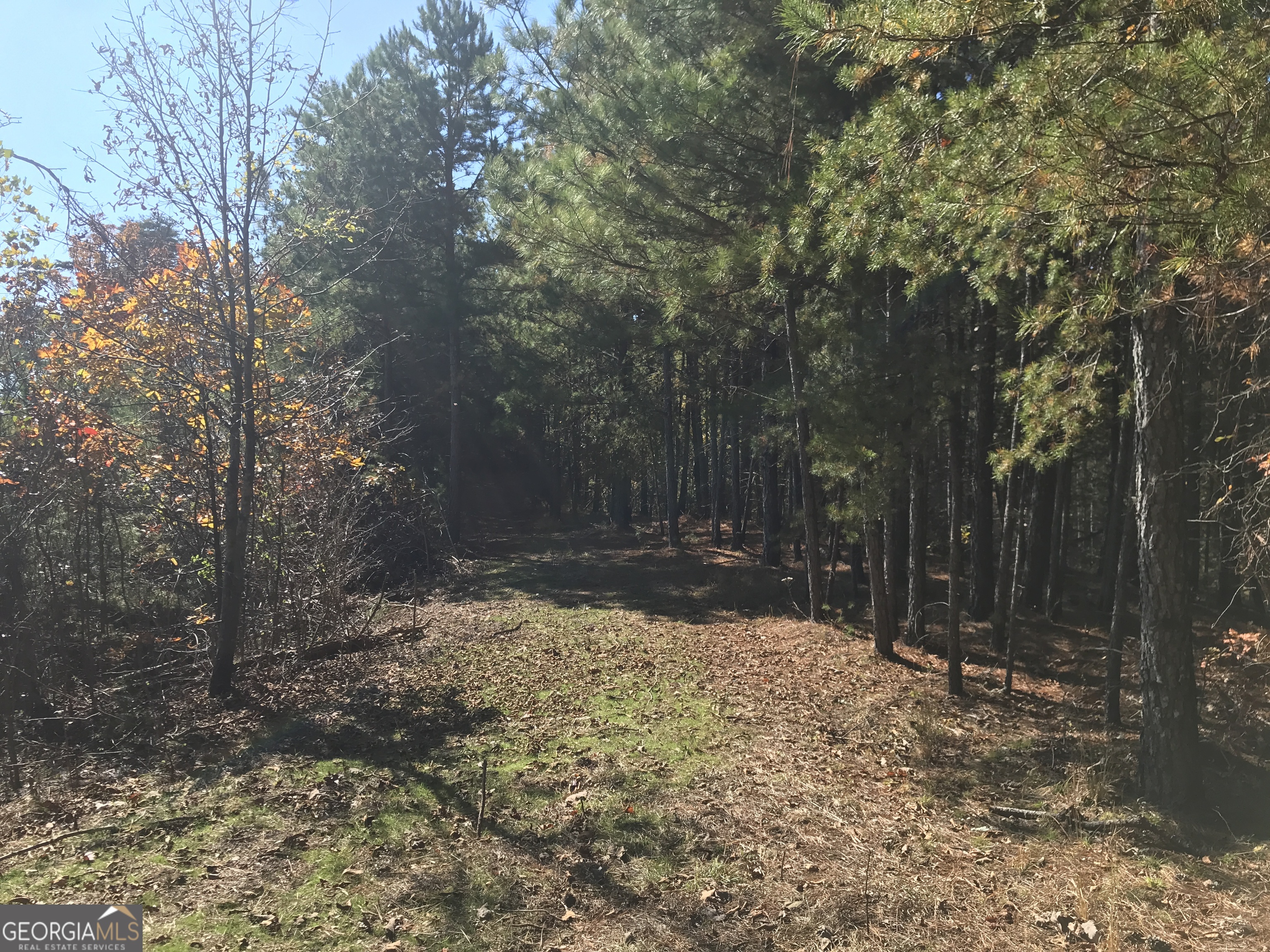 0 Old Oakman Road NE Ranger GA 30734