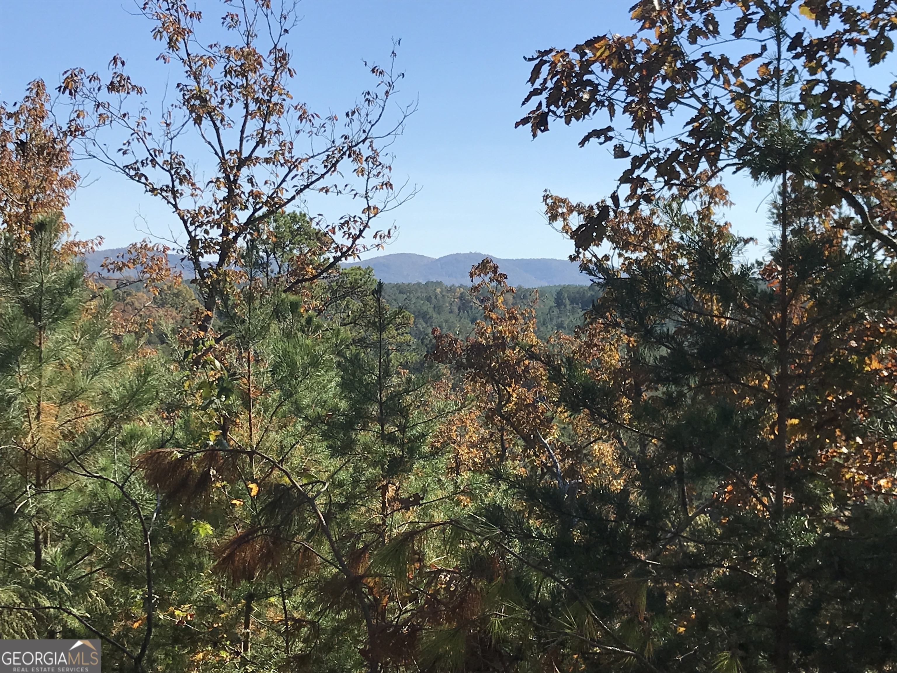 0 Old Oakman Road NE Ranger GA 30734