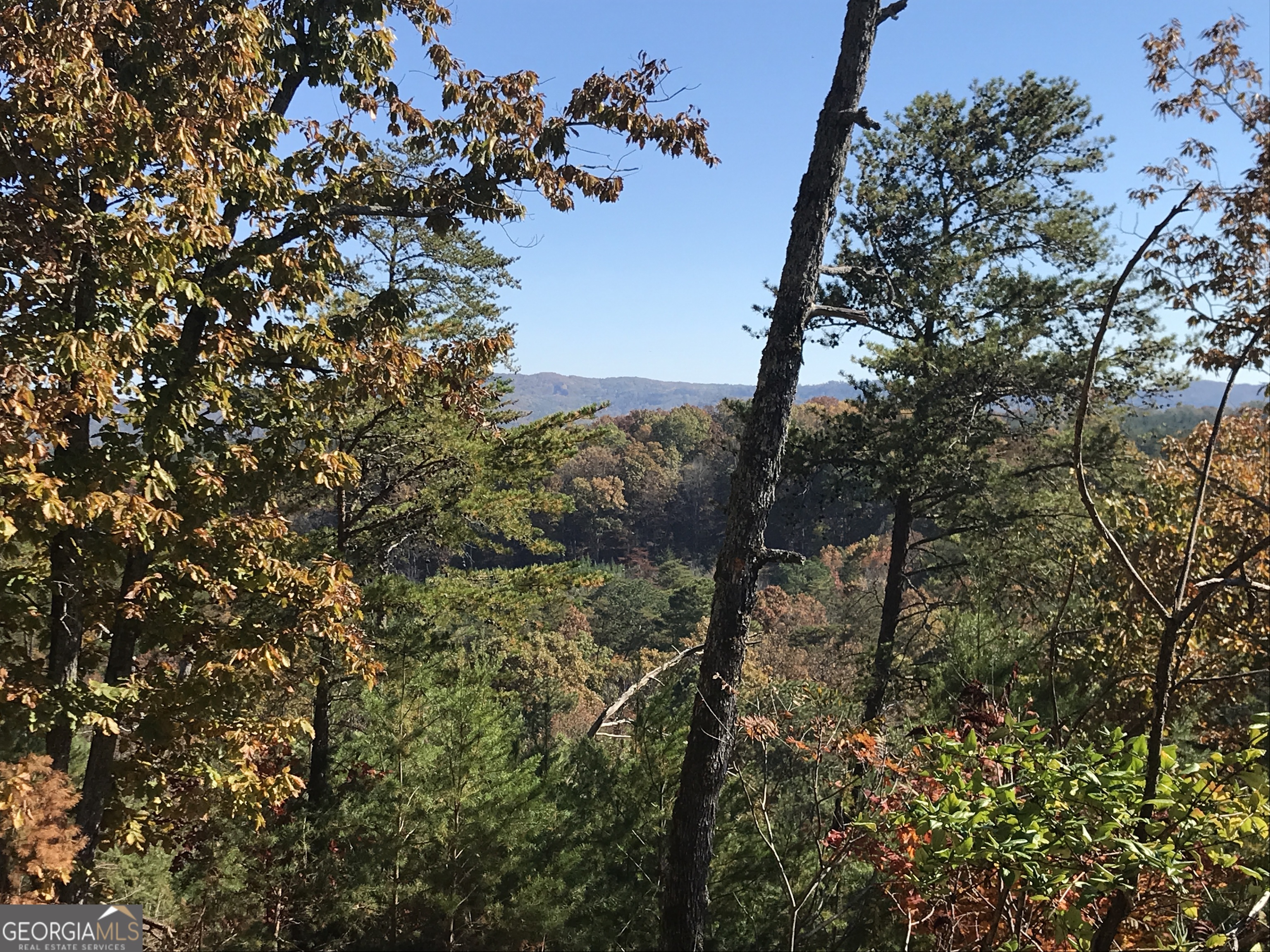 0 Old Oakman Road NE Ranger GA 30734