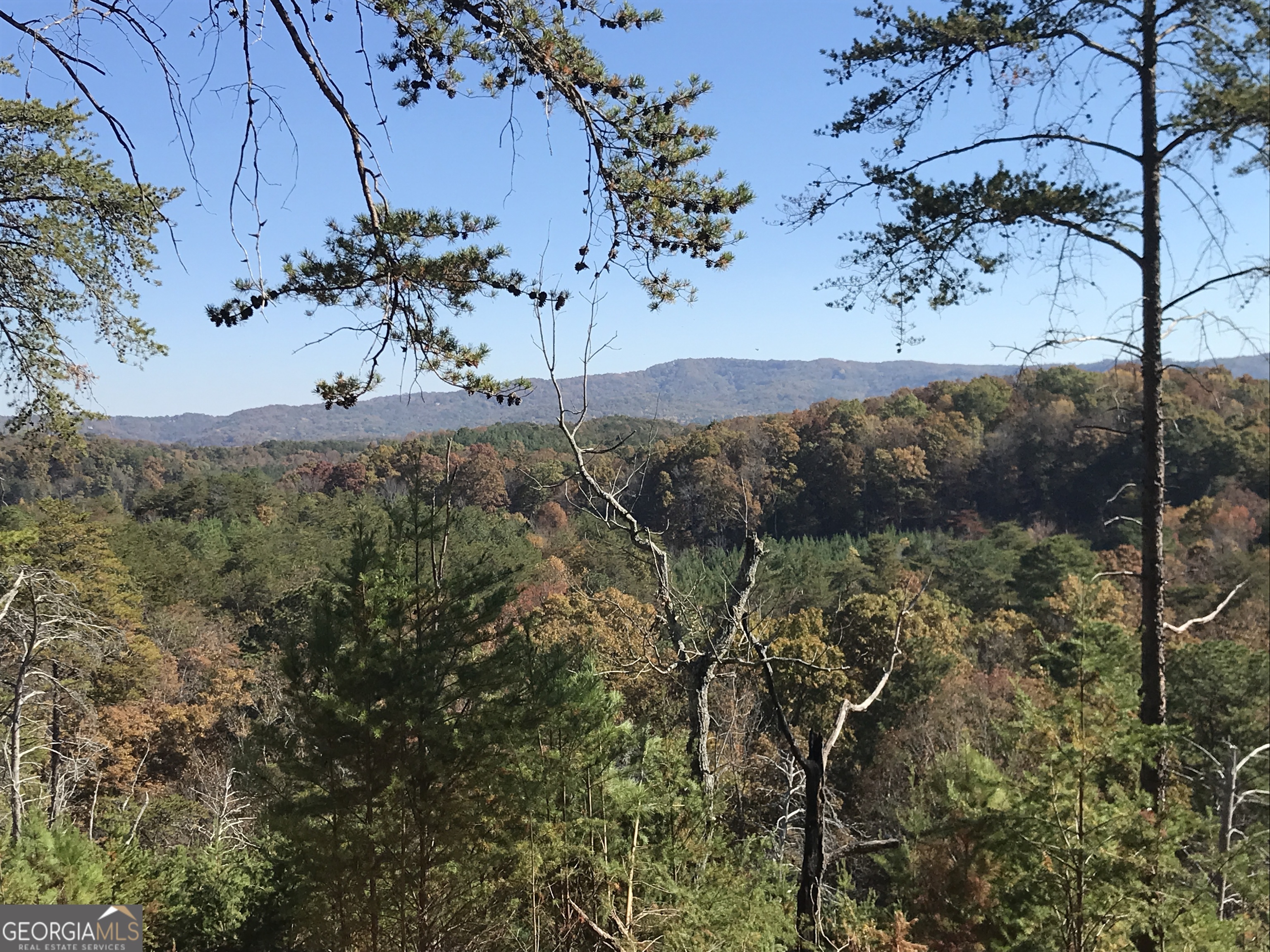 0 Old Oakman Road NE Ranger GA 30734