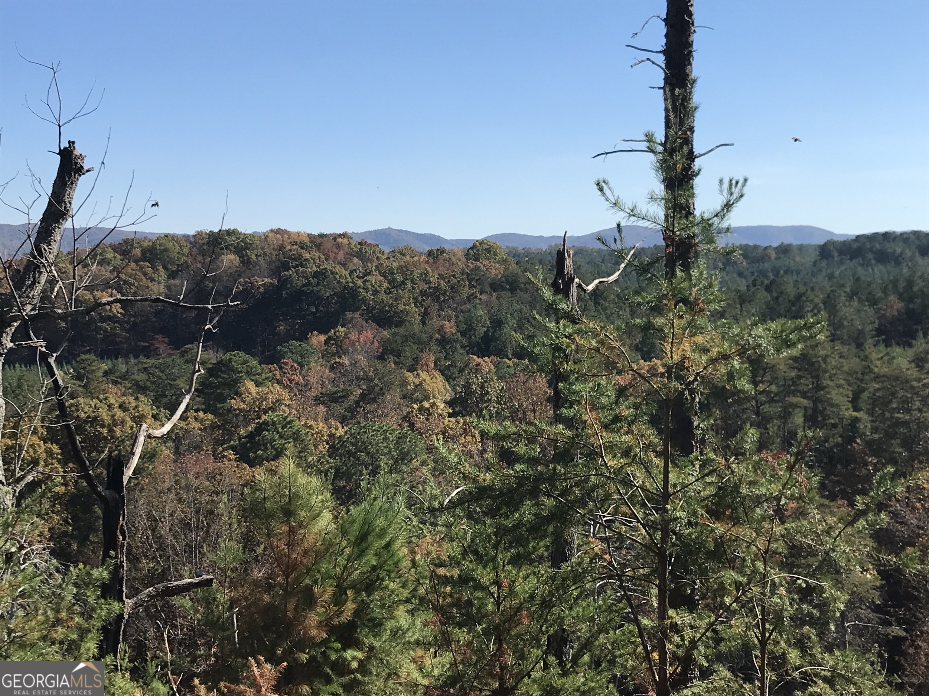 0 Old Oakman Road NE Ranger GA 30734