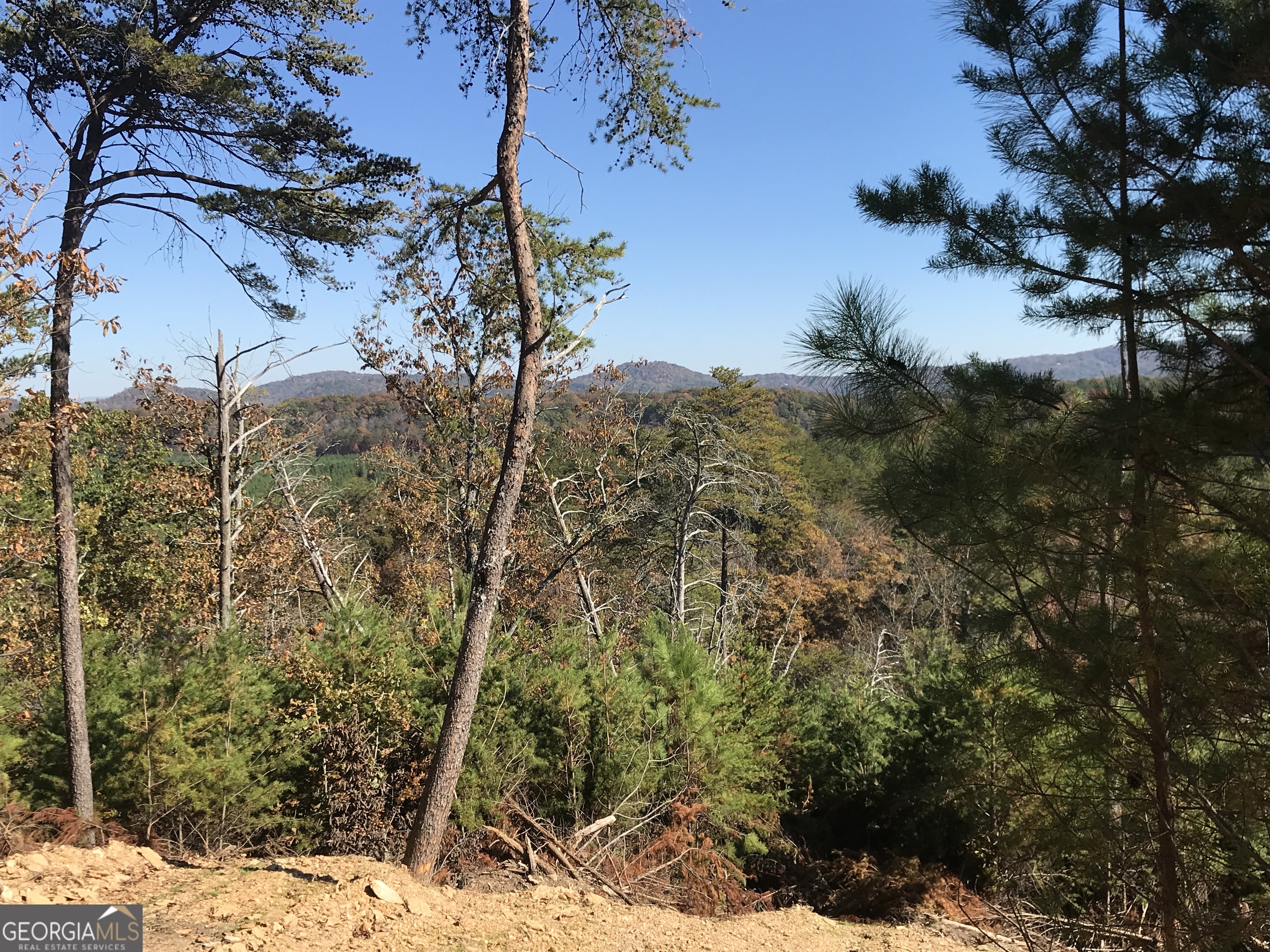 0 Old Oakman Road NE Ranger GA 30734