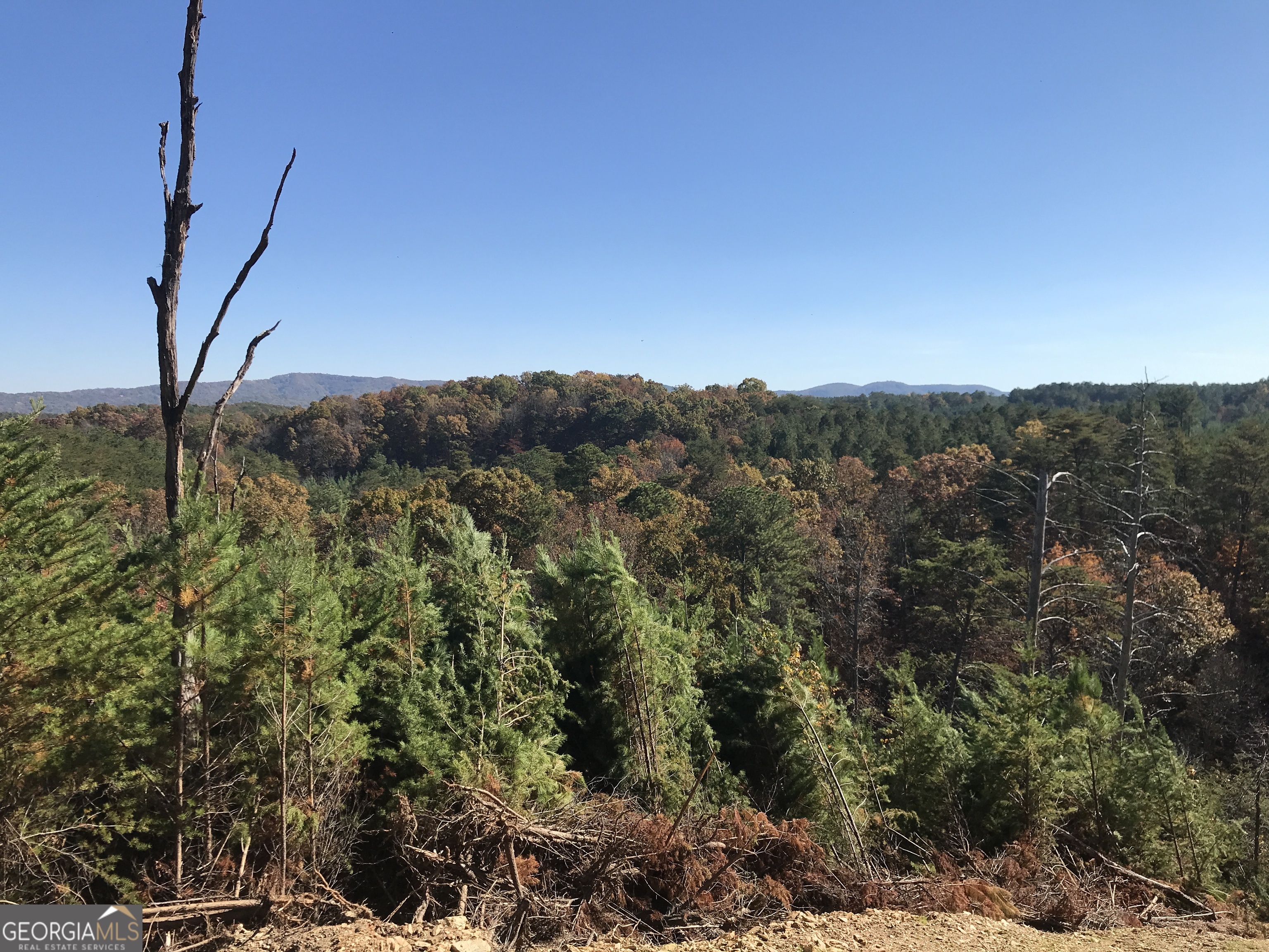 0 Old Oakman Road NE Ranger GA 30734