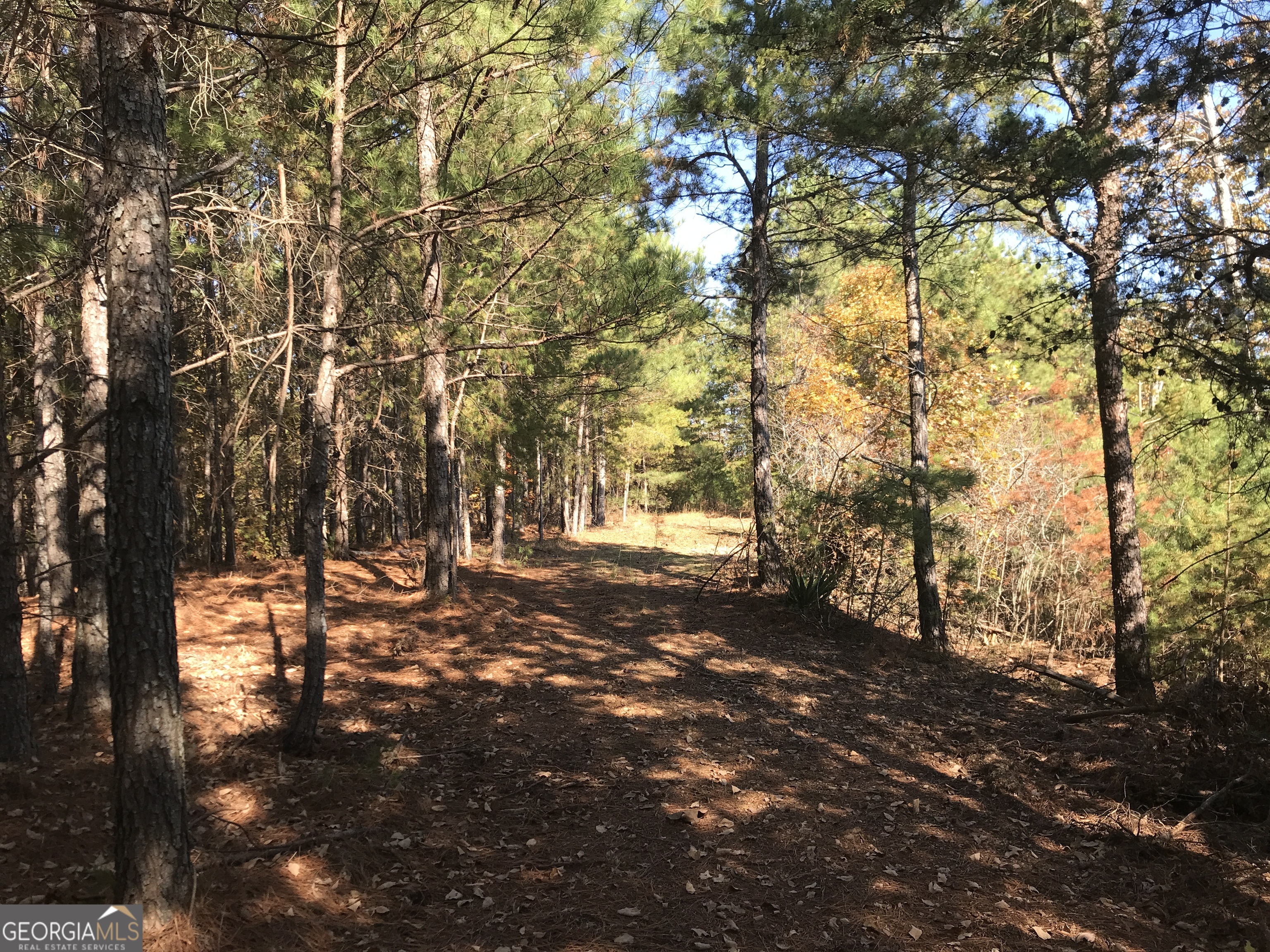 0 Old Oakman Road NE Ranger GA 30734