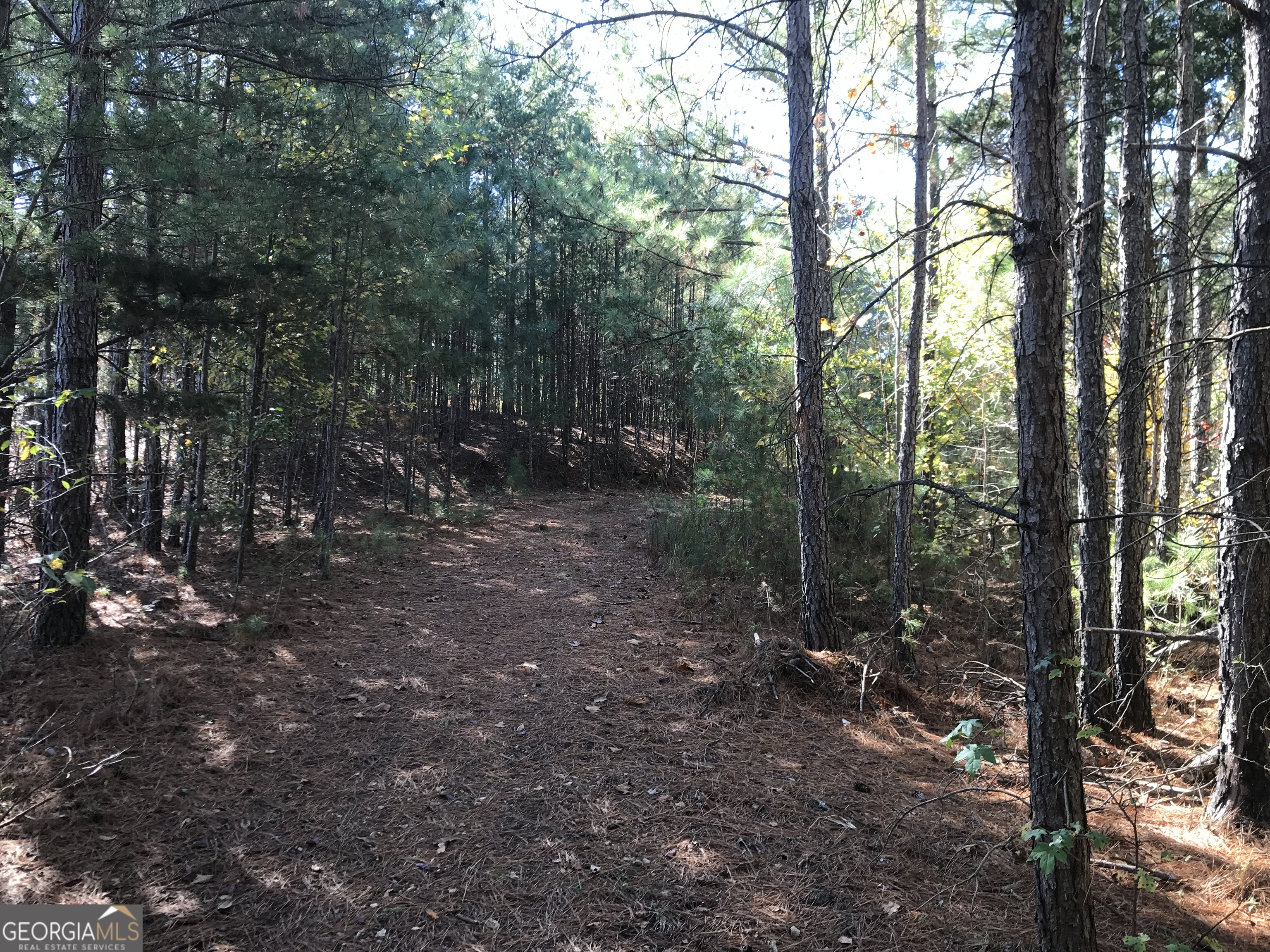 0 Old Oakman Road NE Ranger GA 30734
