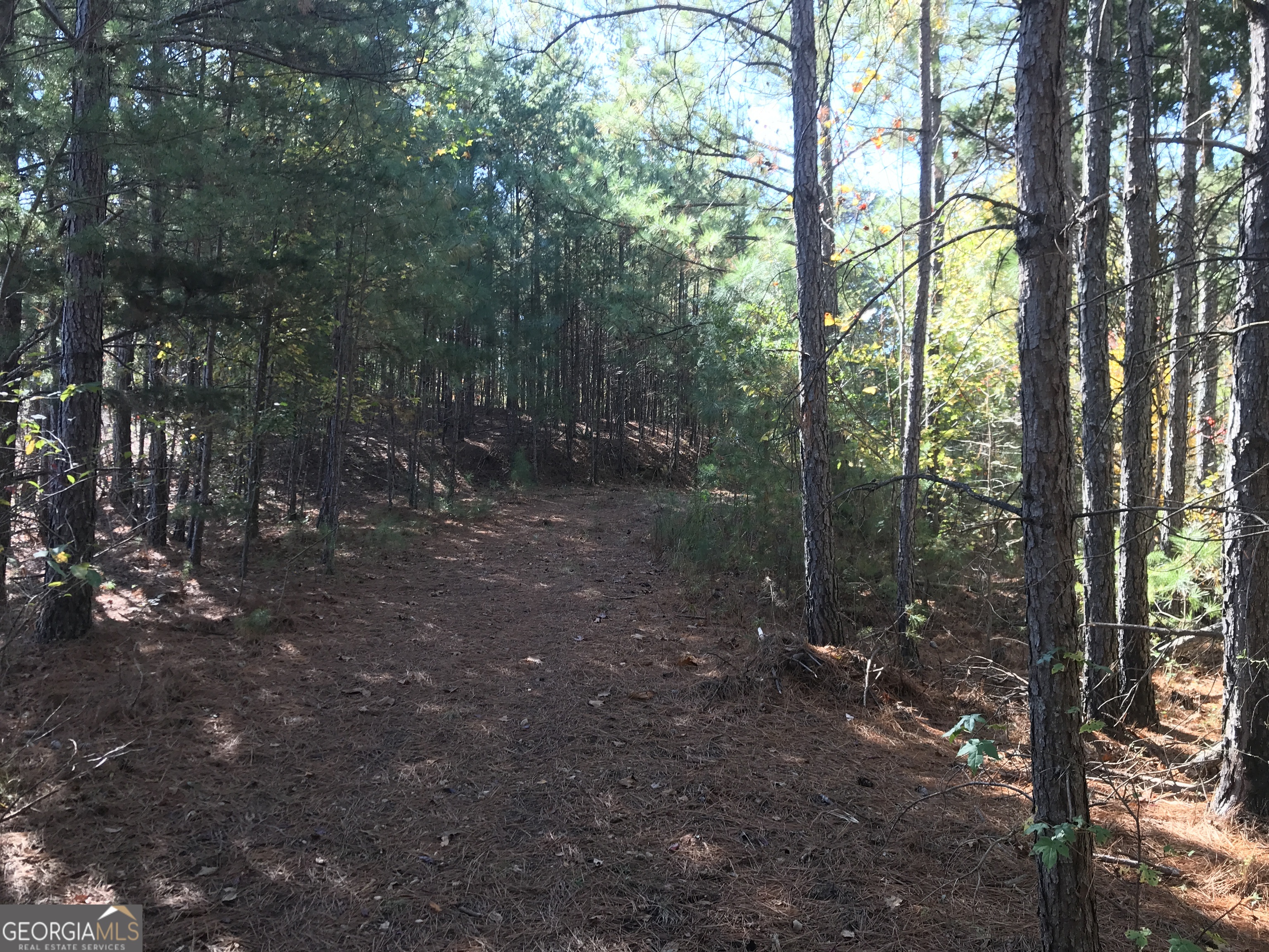0 Old Oakman Road NE Ranger GA 30734