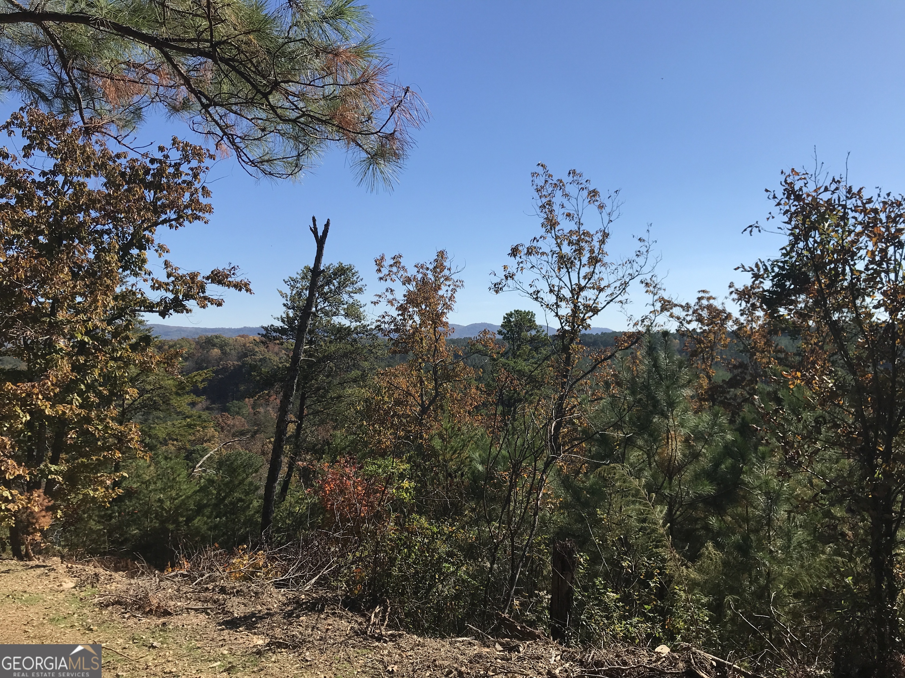 0 Old Oakman Road NE Ranger GA 30734