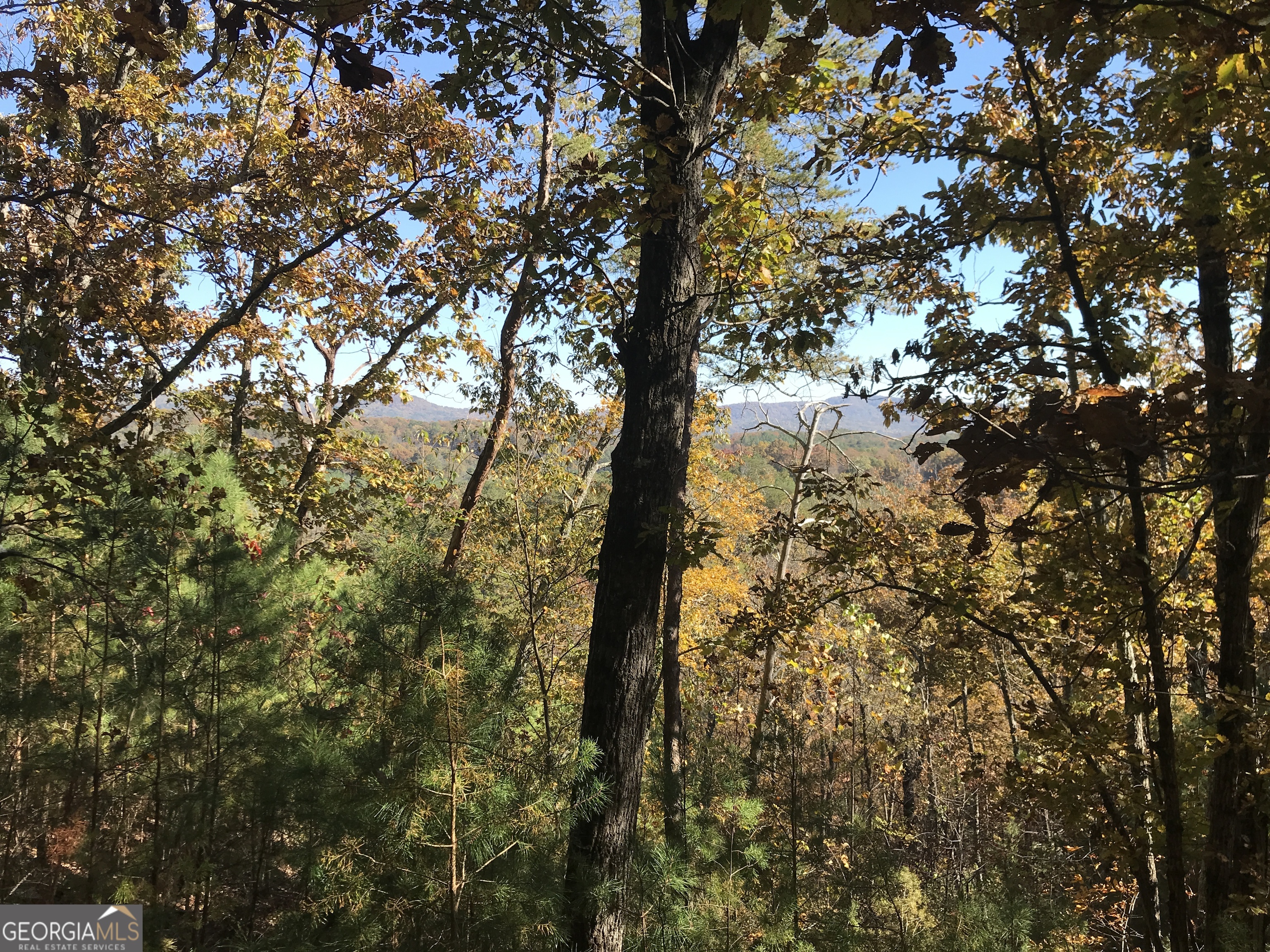 0 Old Oakman Road NE Ranger GA 30734