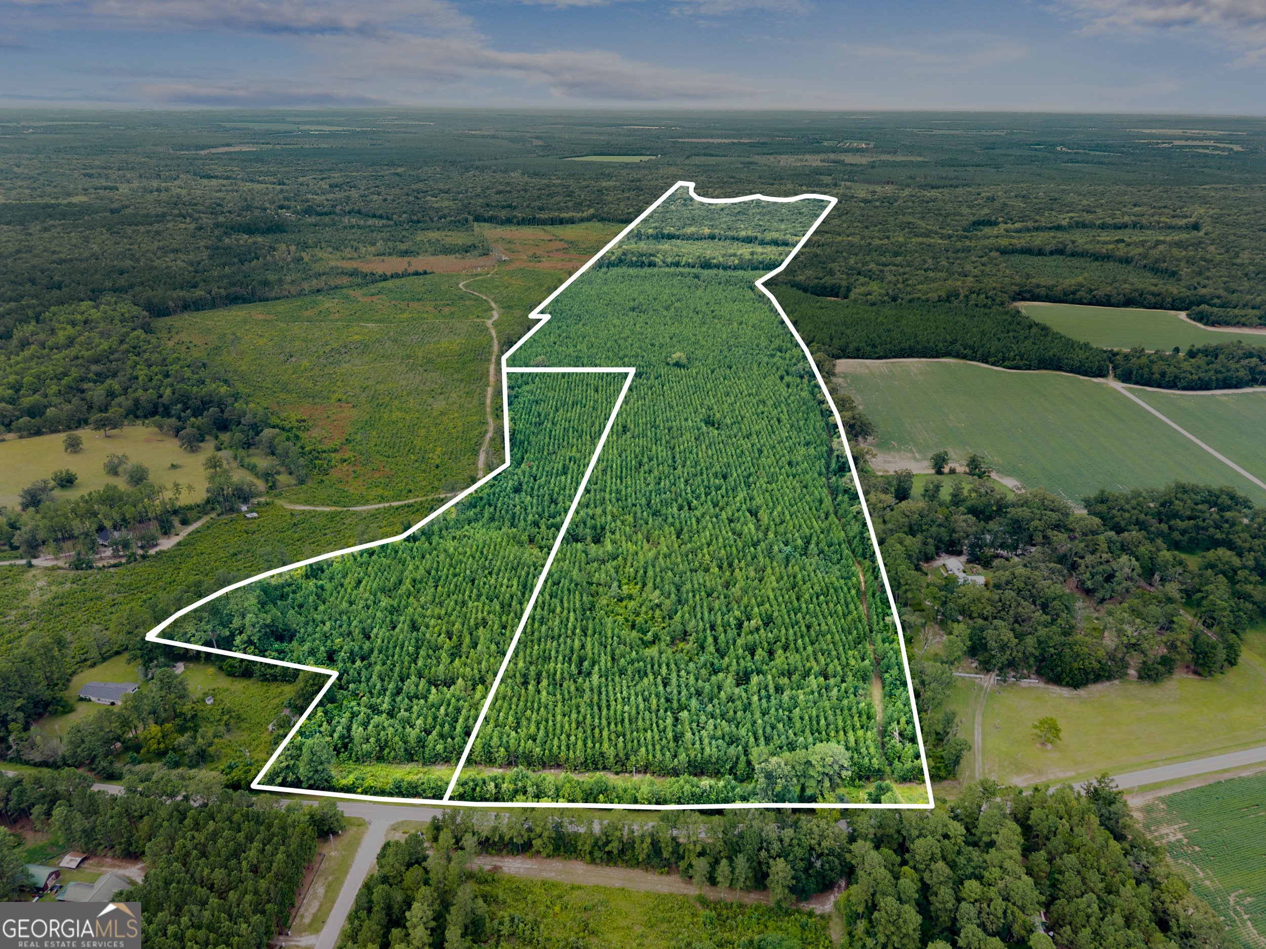 232 Acres Old River Road N Statesboro GA 30461