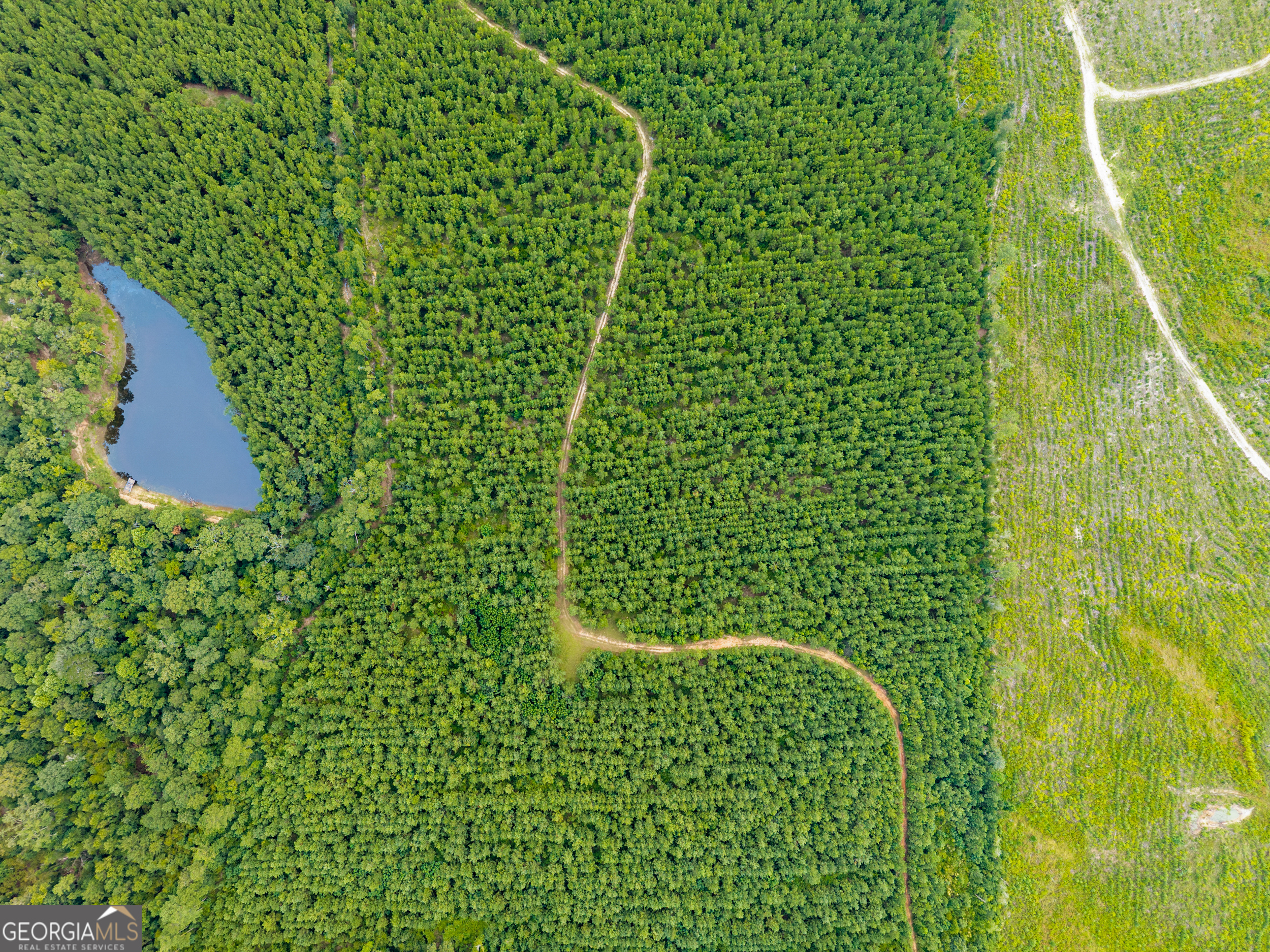 232 Acres Old River Road N Statesboro GA 30461