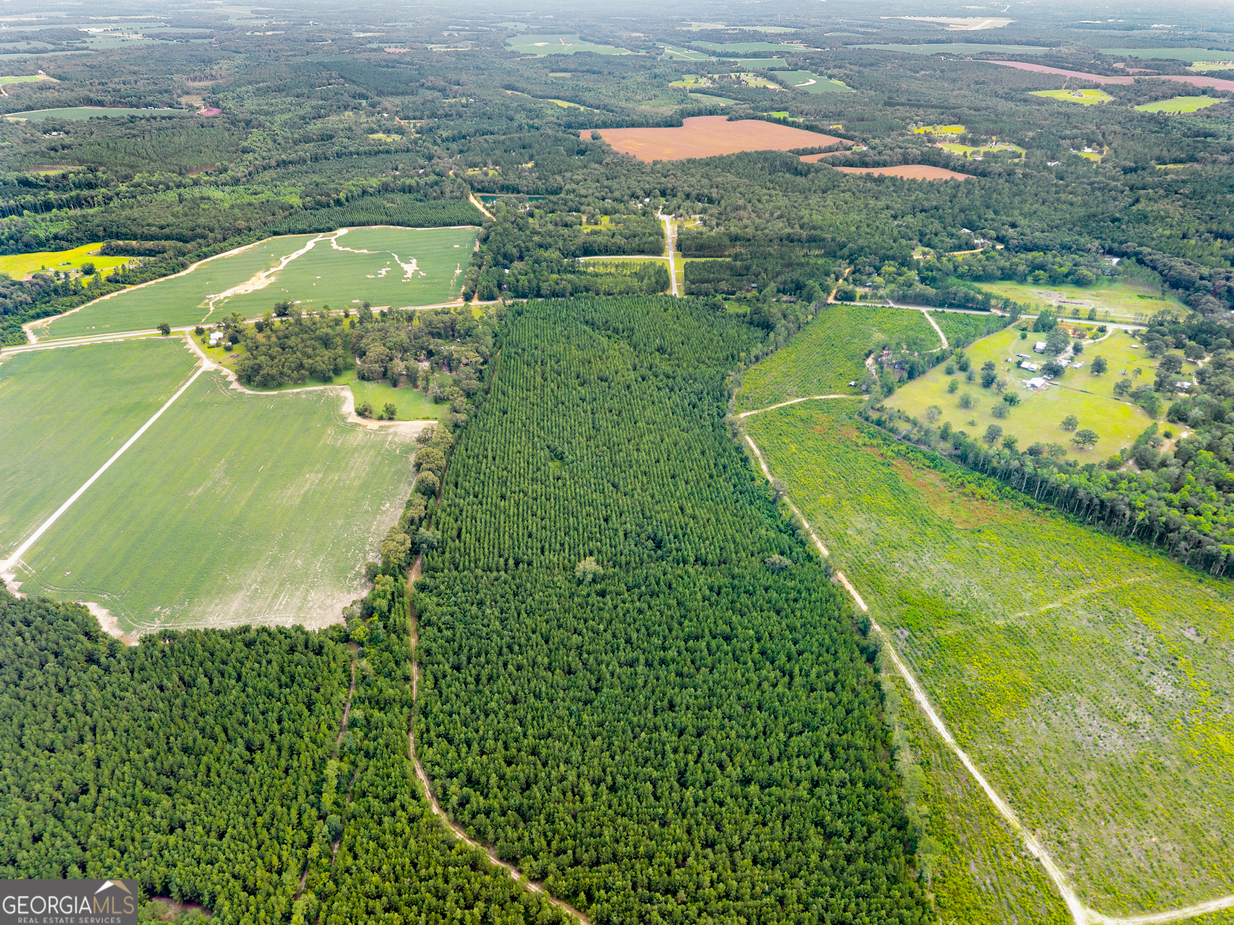232 Acres Old River Road N Statesboro GA 30461