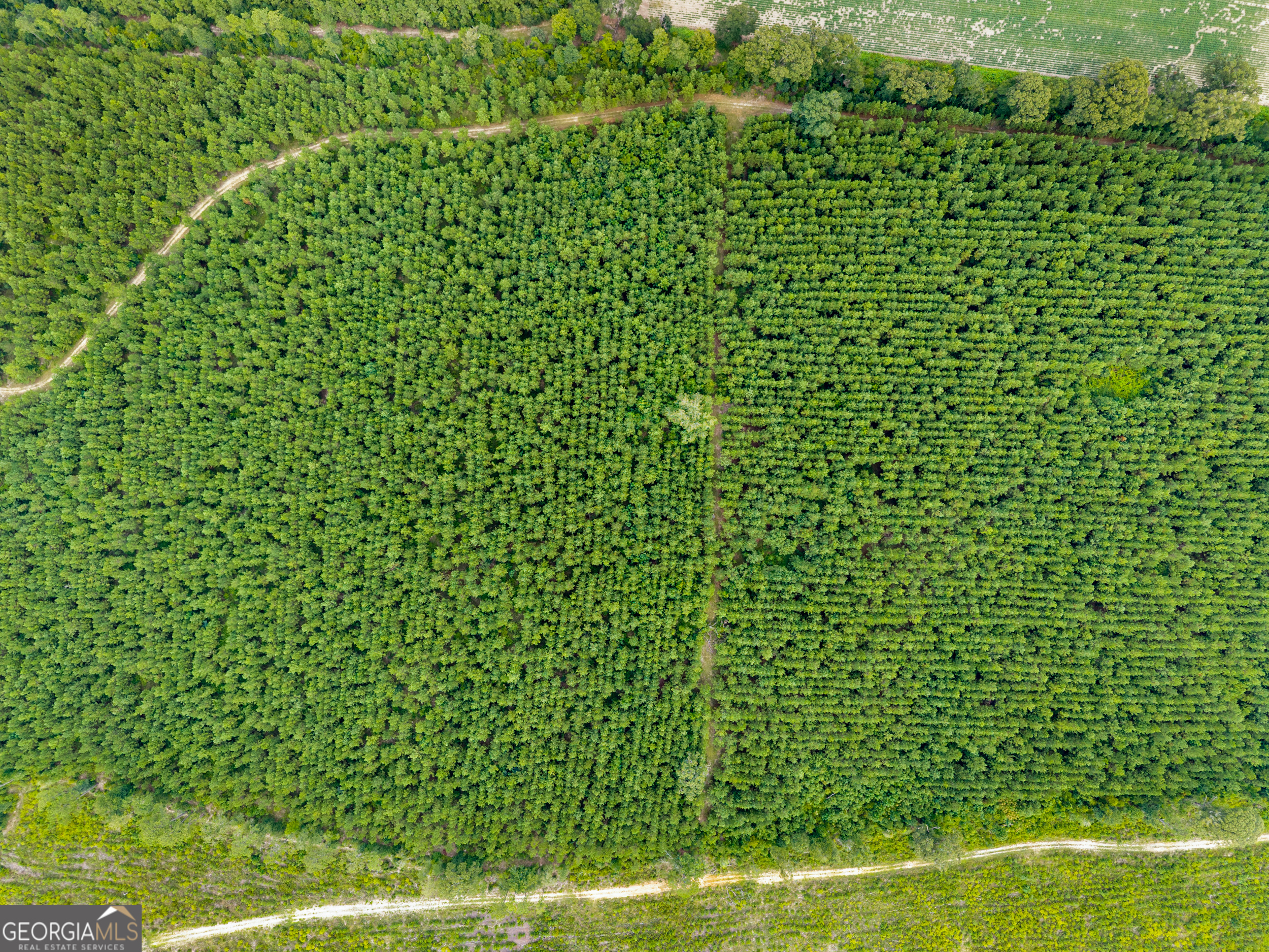 232 Acres Old River Road N Statesboro GA 30461