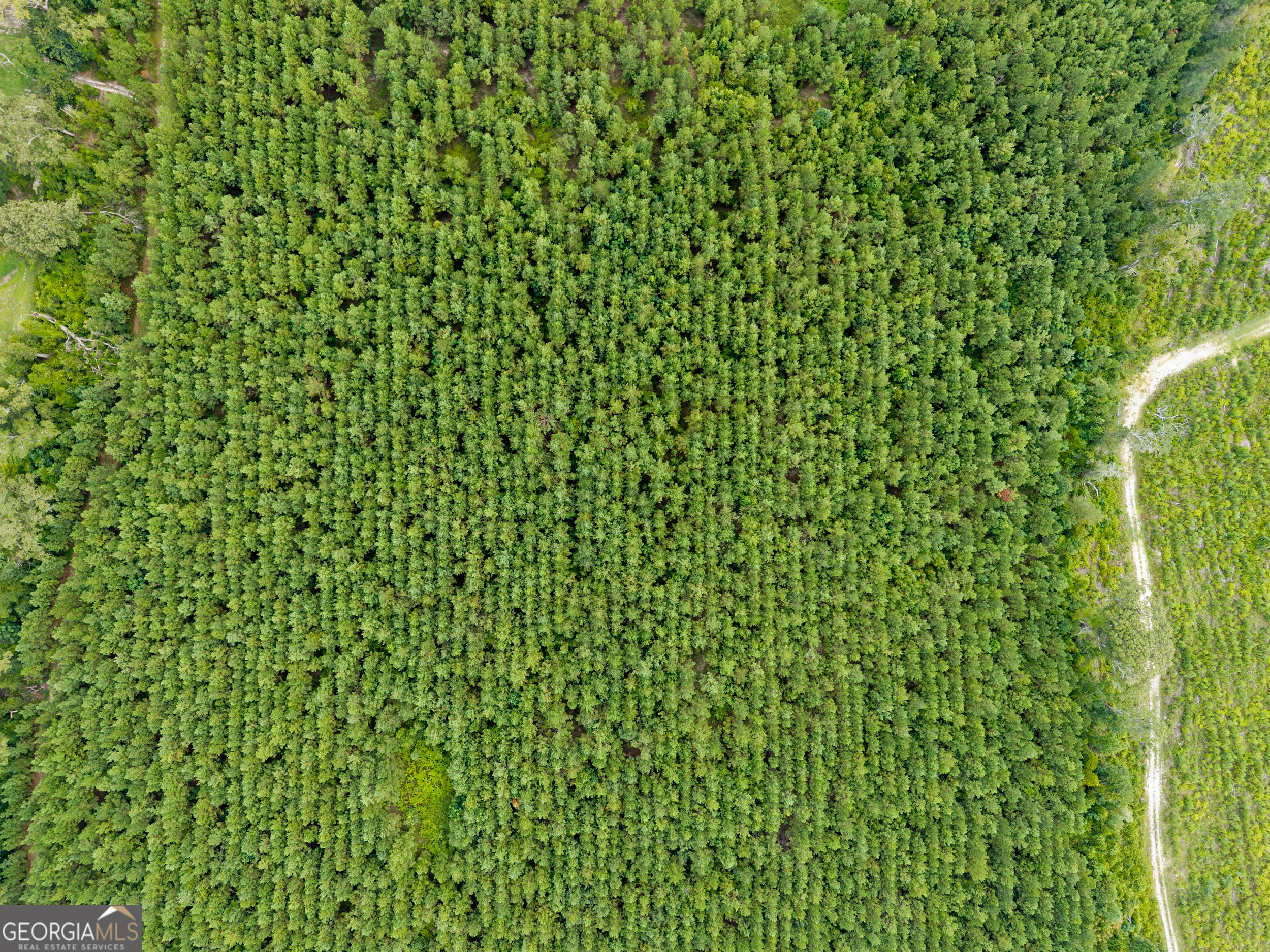 232 Acres Old River Road N Statesboro GA 30461