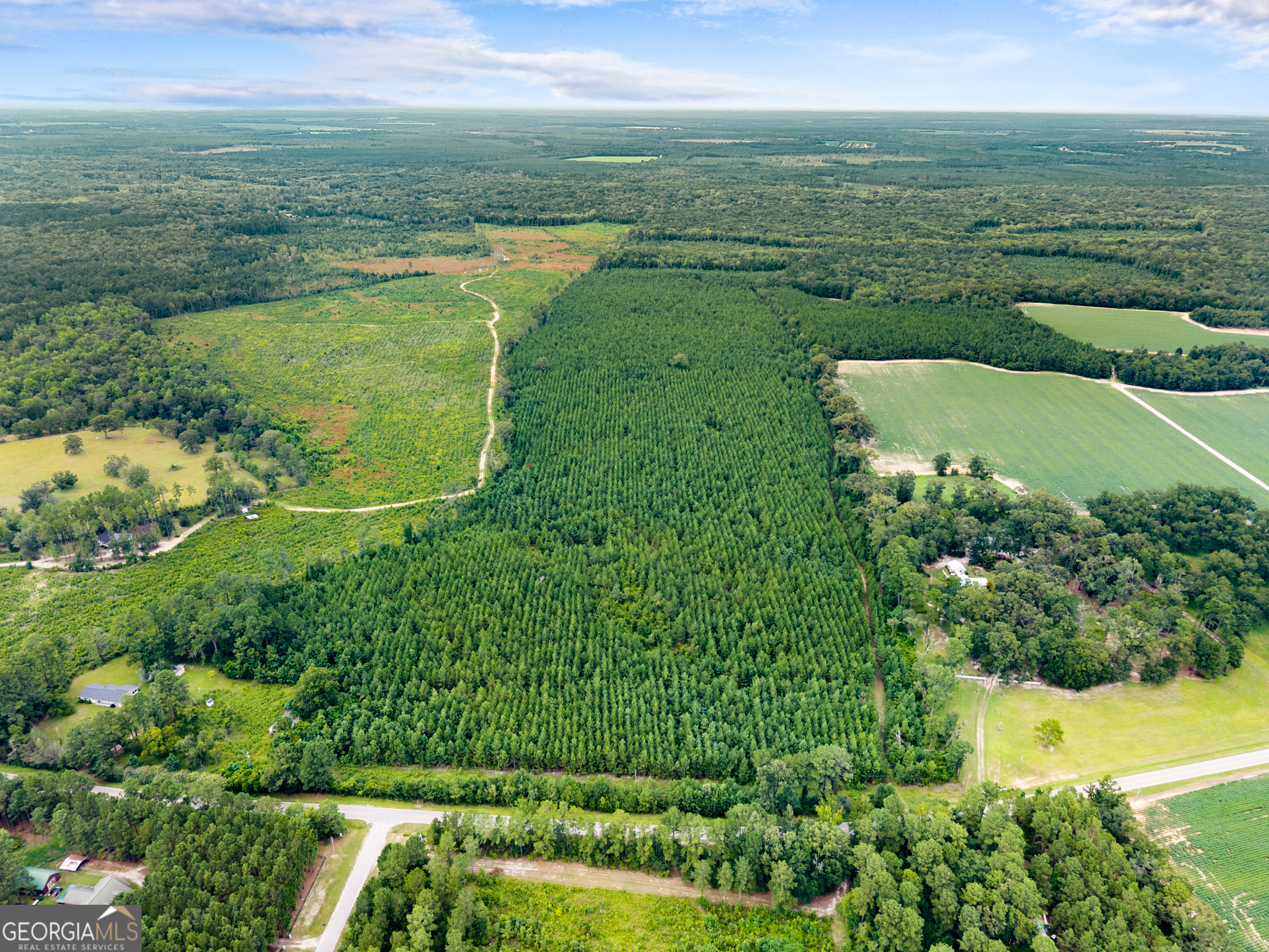 232 Acres Old River Road N Statesboro GA 30461