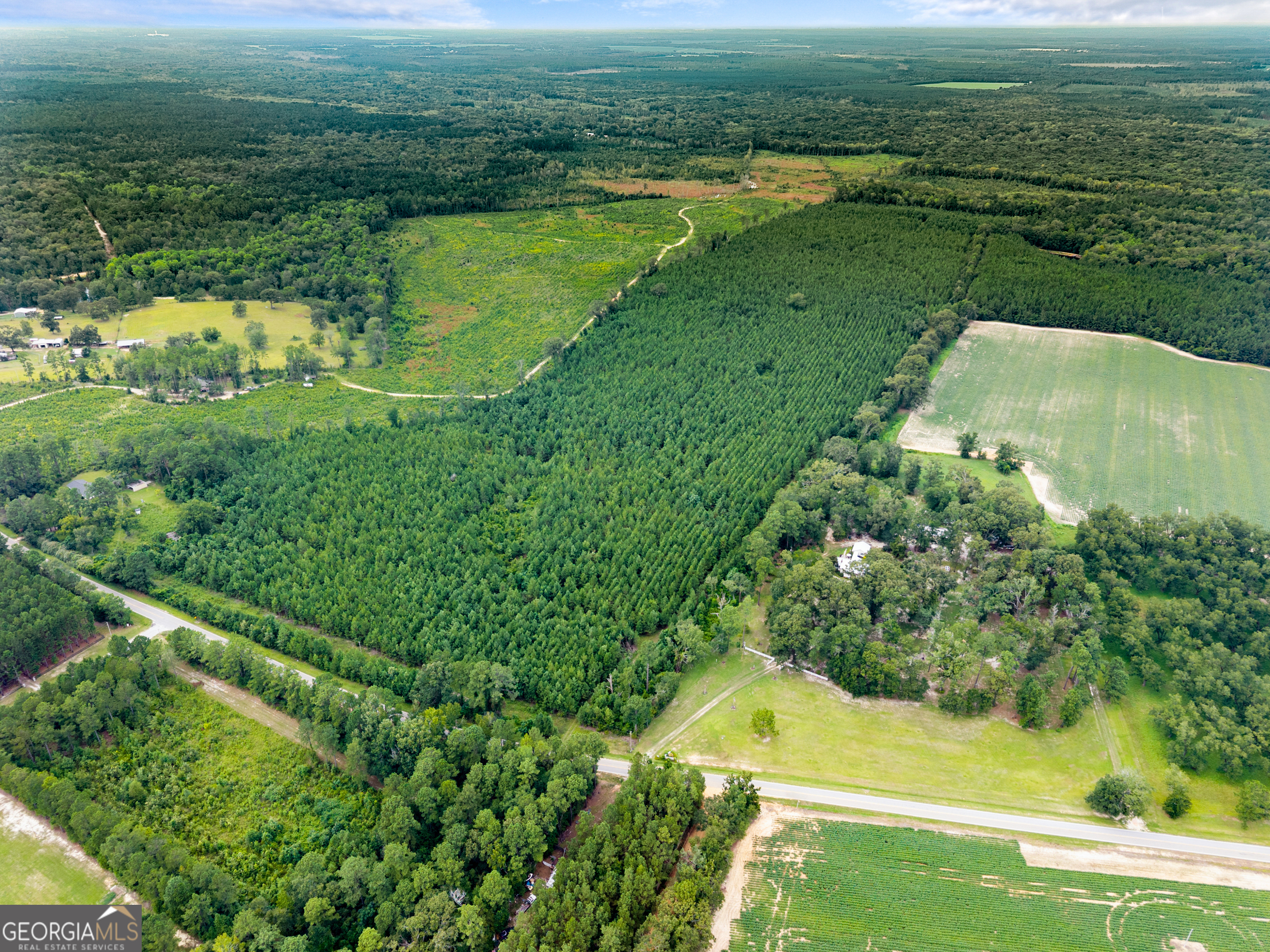232 Acres Old River Road N Statesboro GA 30461