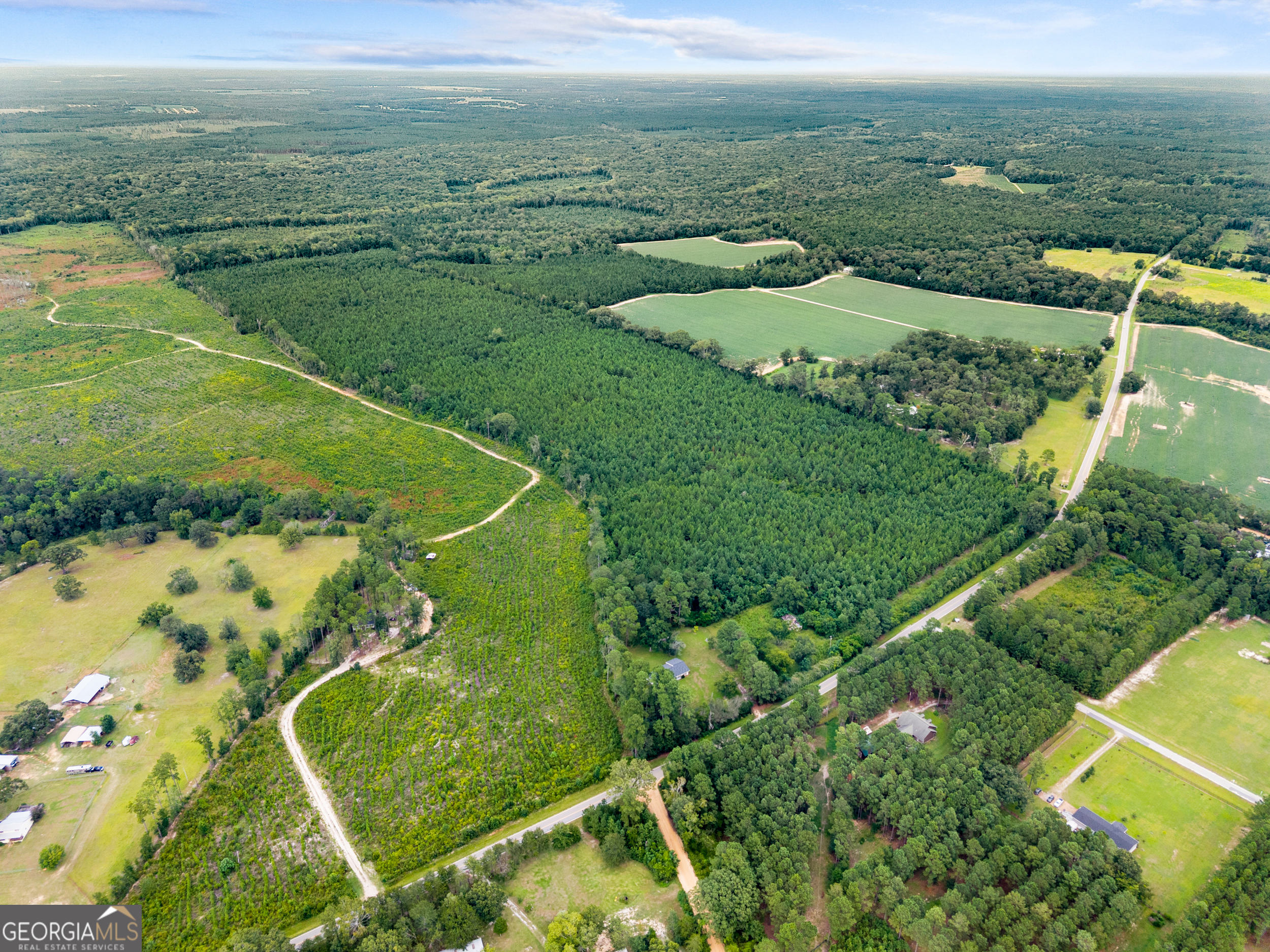 232 Acres Old River Road N Statesboro GA 30461