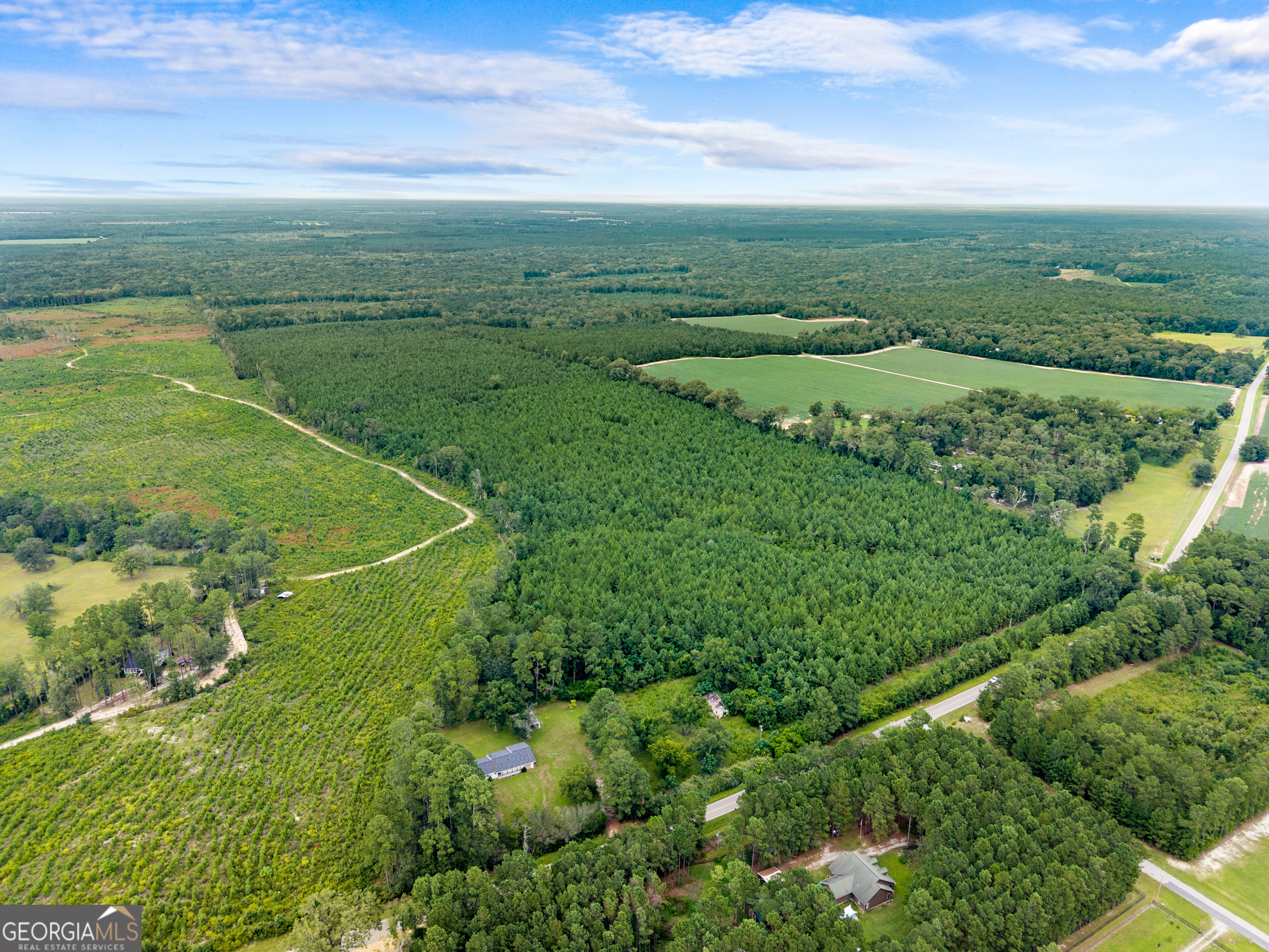 232 Acres Old River Road N Statesboro GA 30461
