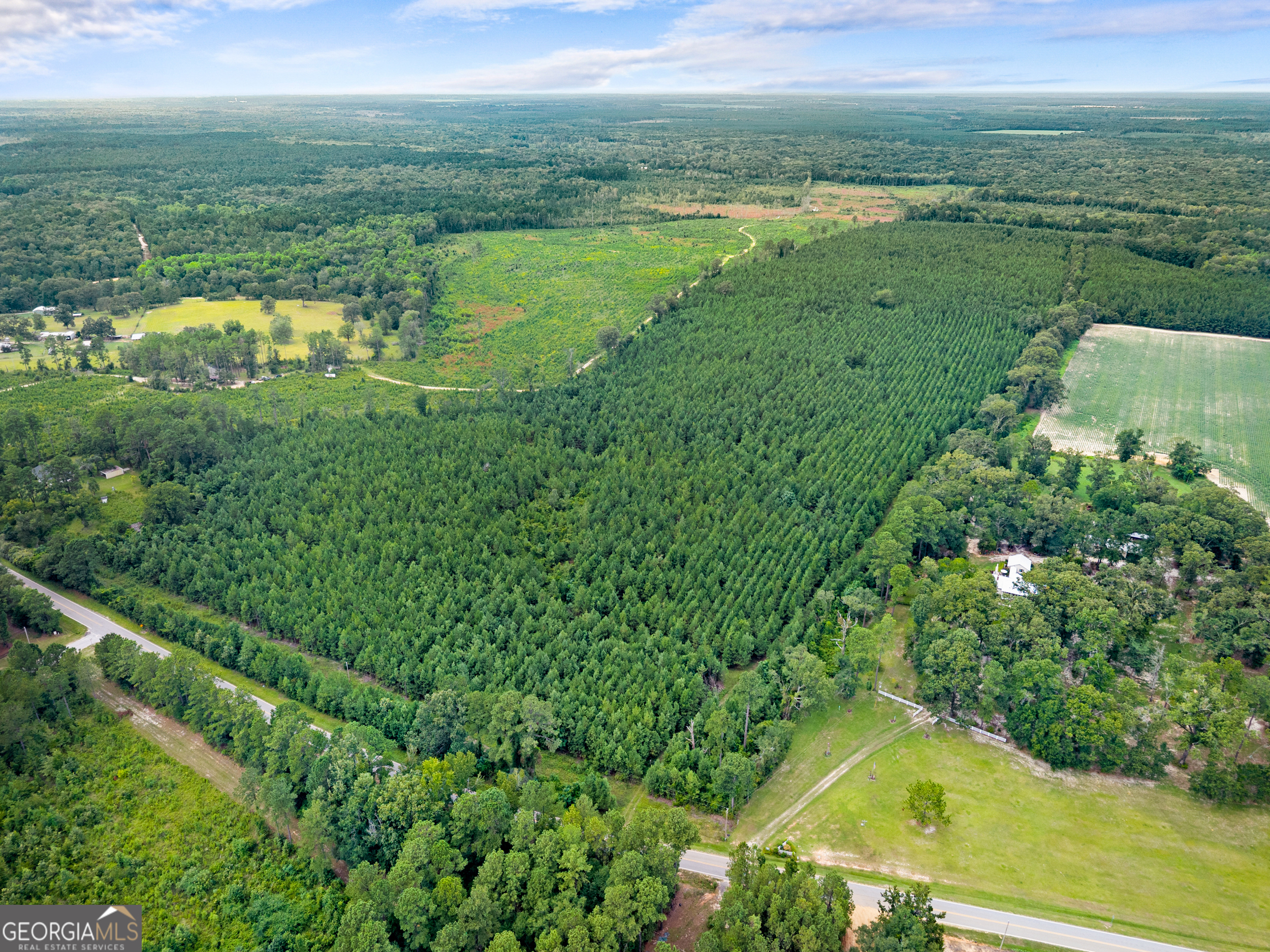 232 Acres Old River Road N Statesboro GA 30461