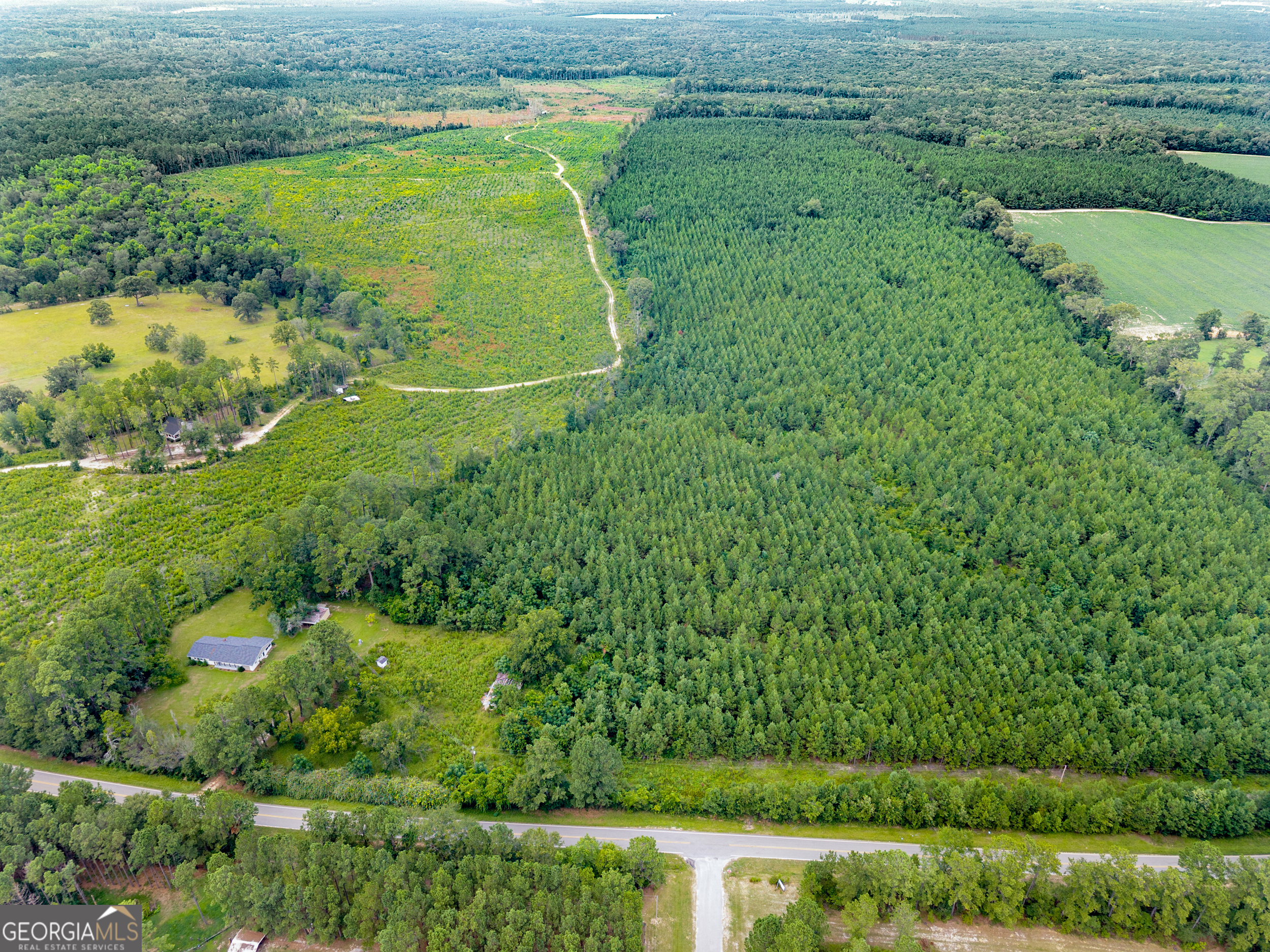 232 Acres Old River Road N Statesboro GA 30461