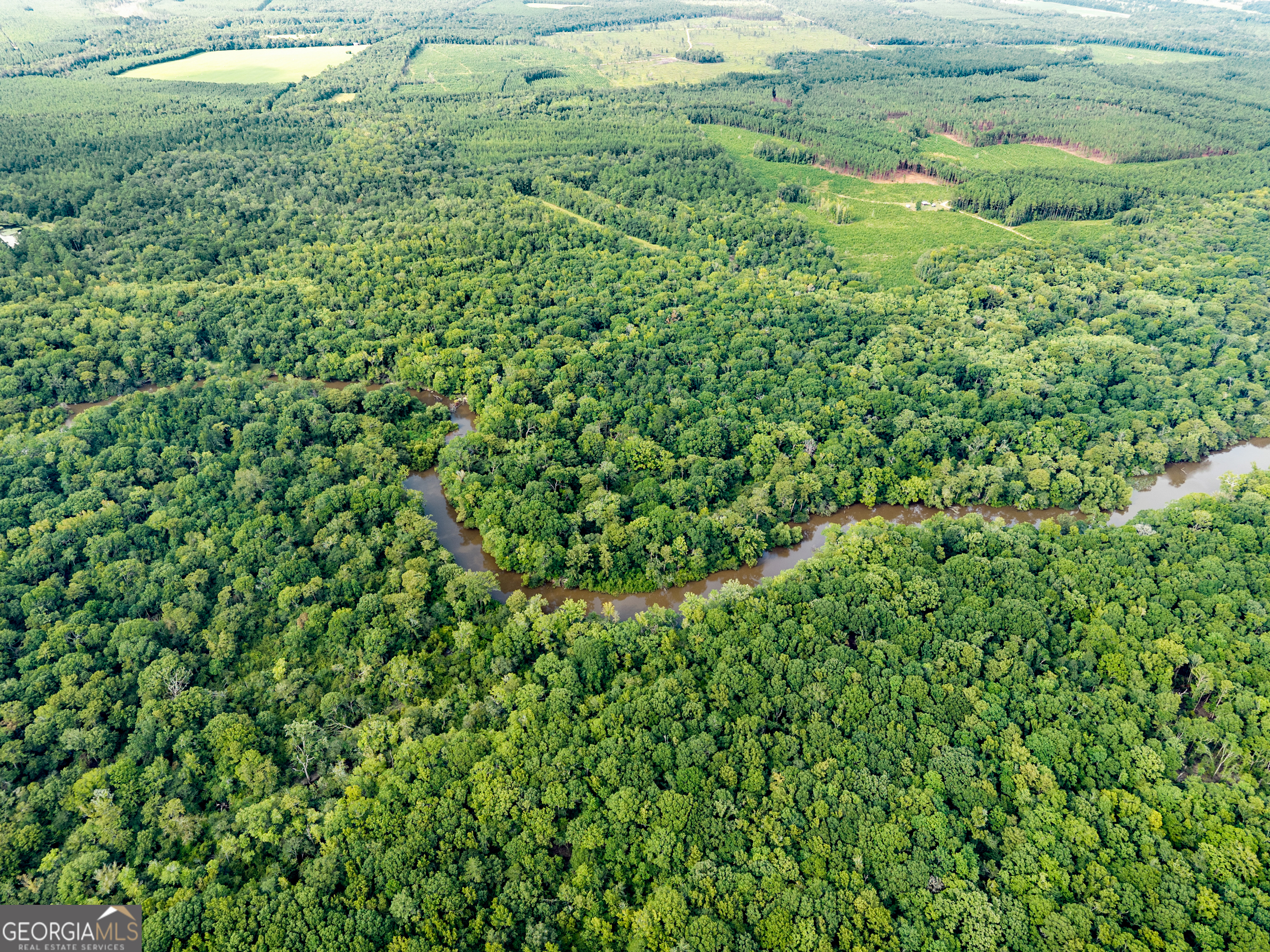 232 Acres Old River Road N Statesboro GA 30461