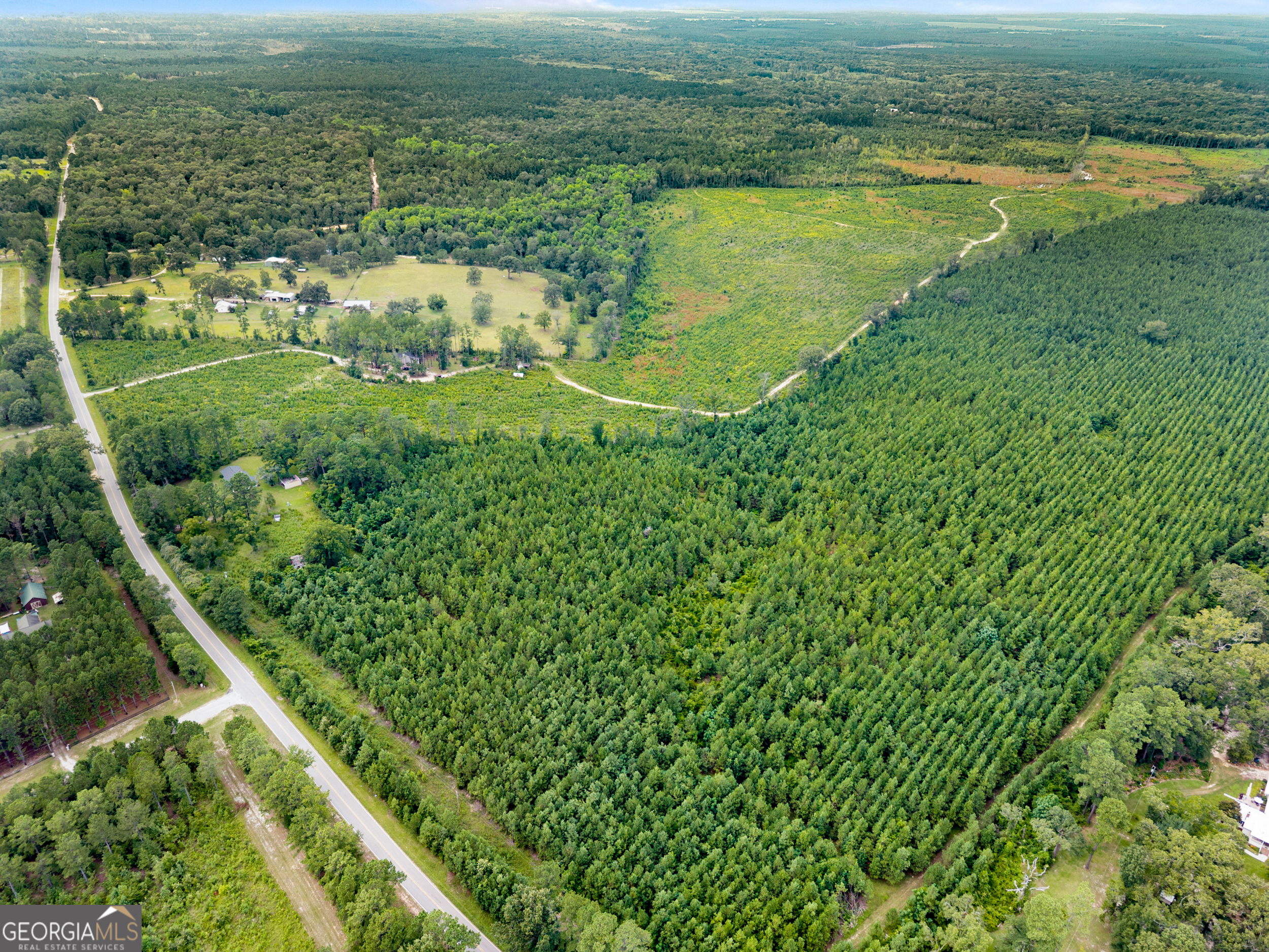232 Acres Old River Road N Statesboro GA 30461