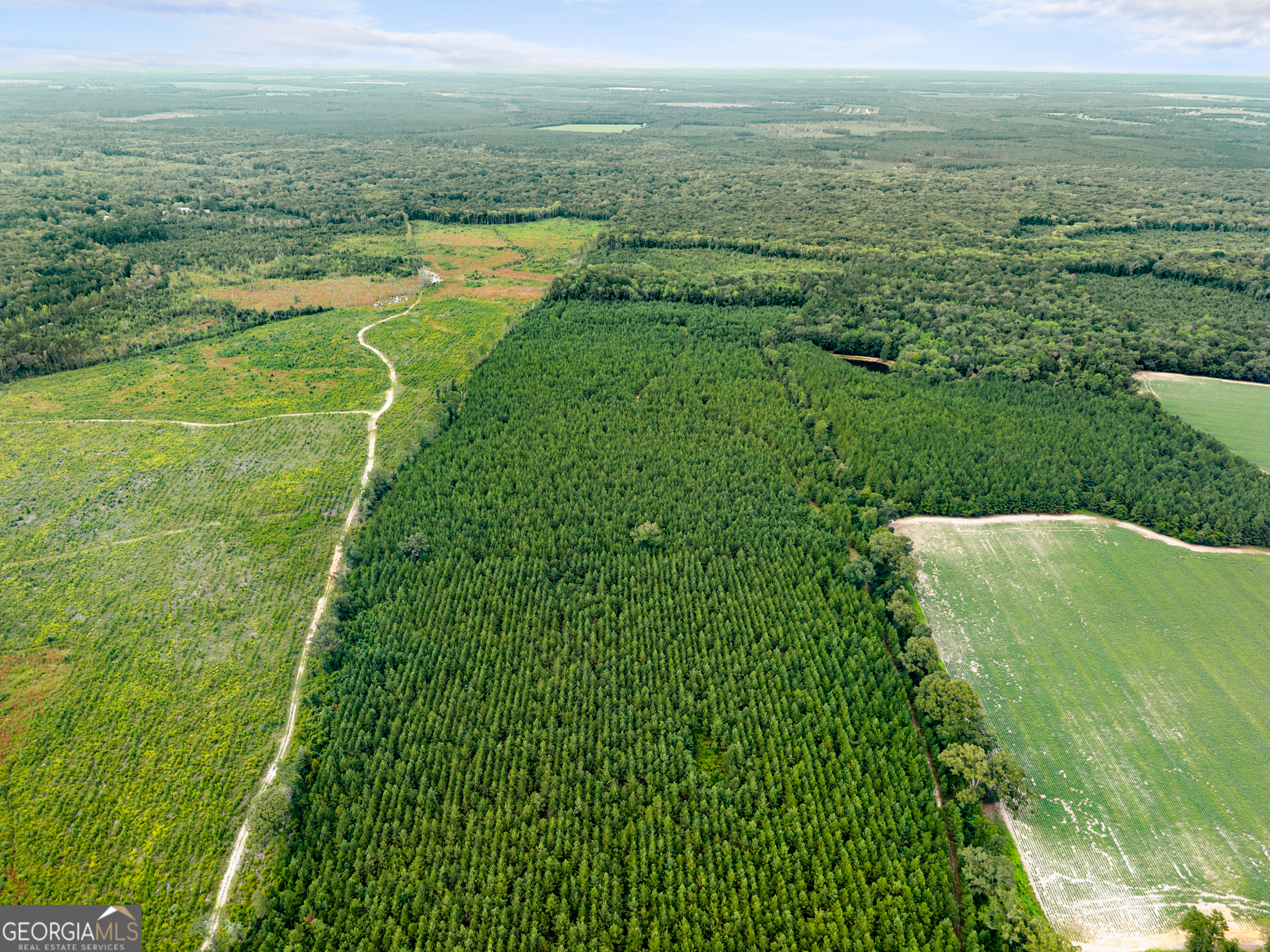 232 Acres Old River Road N Statesboro GA 30461
