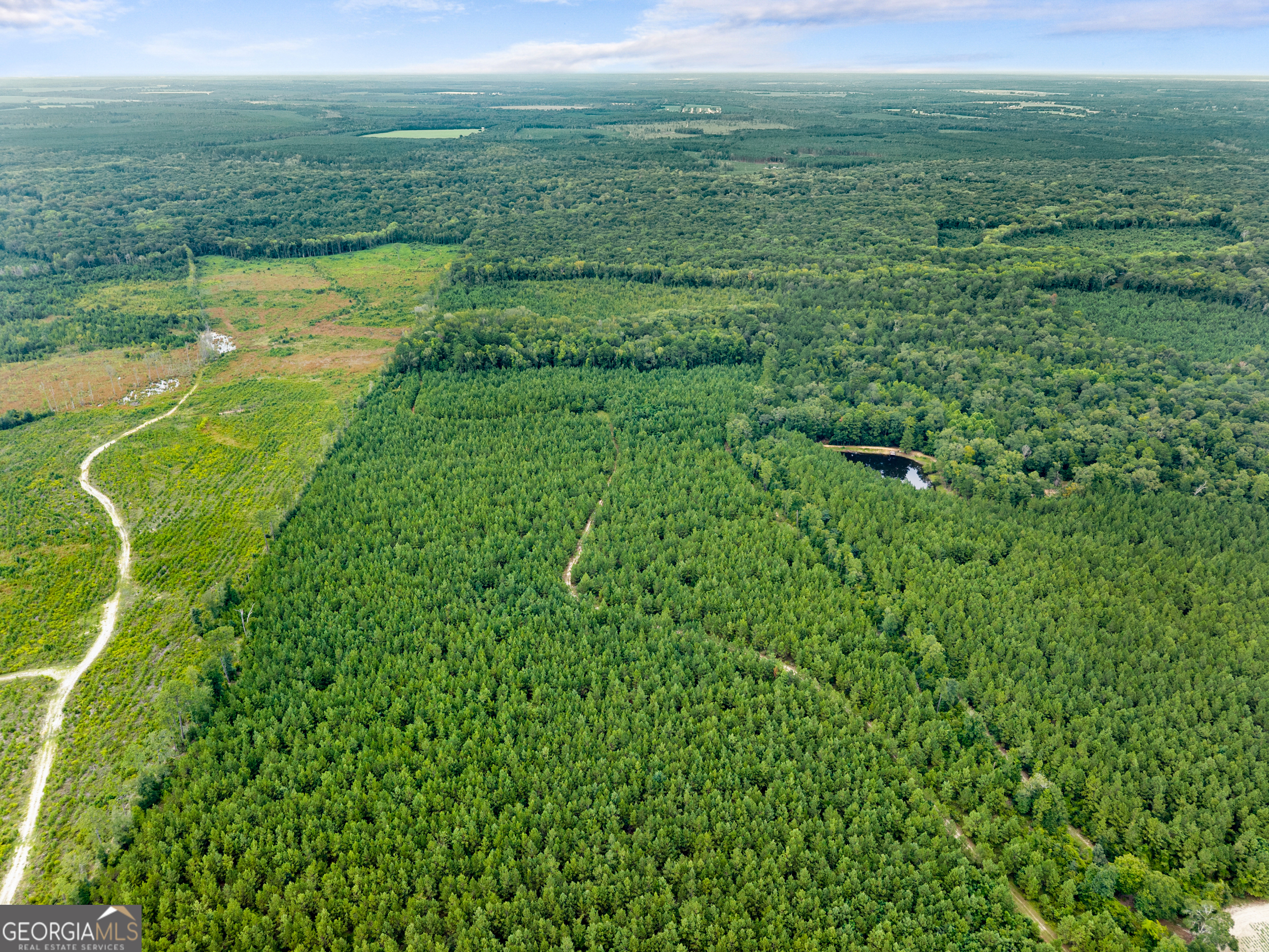 232 Acres Old River Road N Statesboro GA 30461