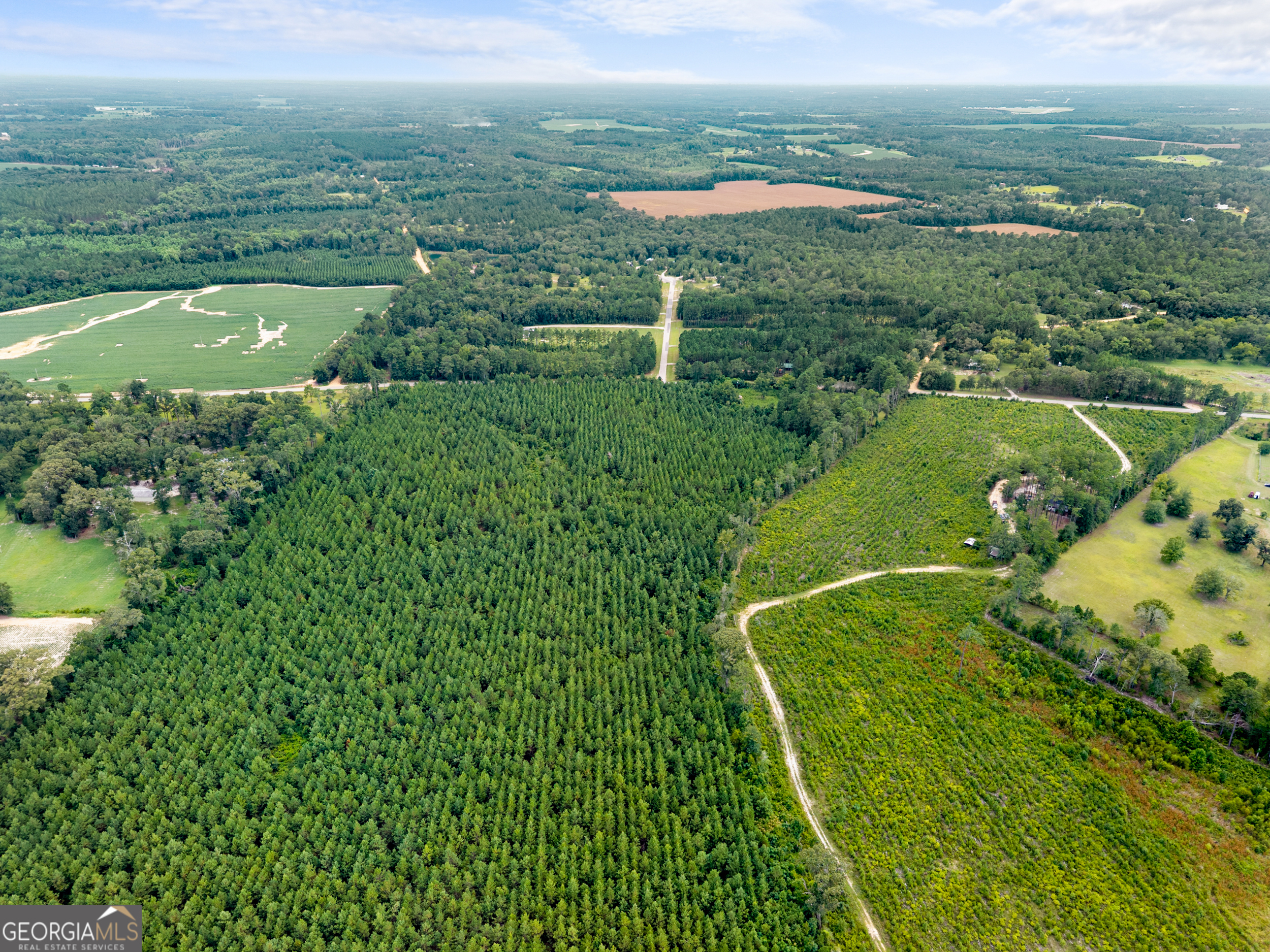 232 Acres Old River Road N Statesboro GA 30461