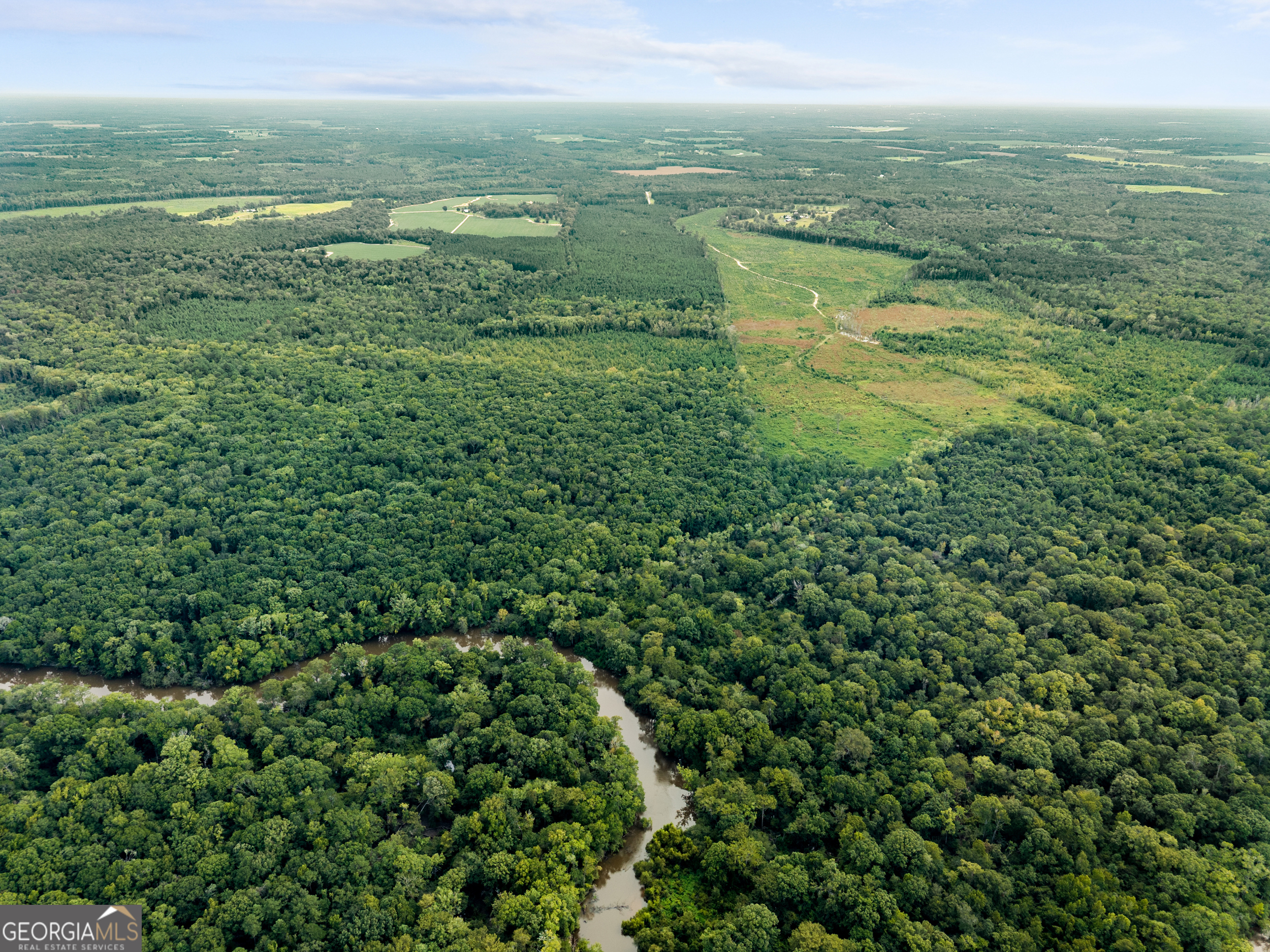 232 Acres Old River Road N Statesboro GA 30461