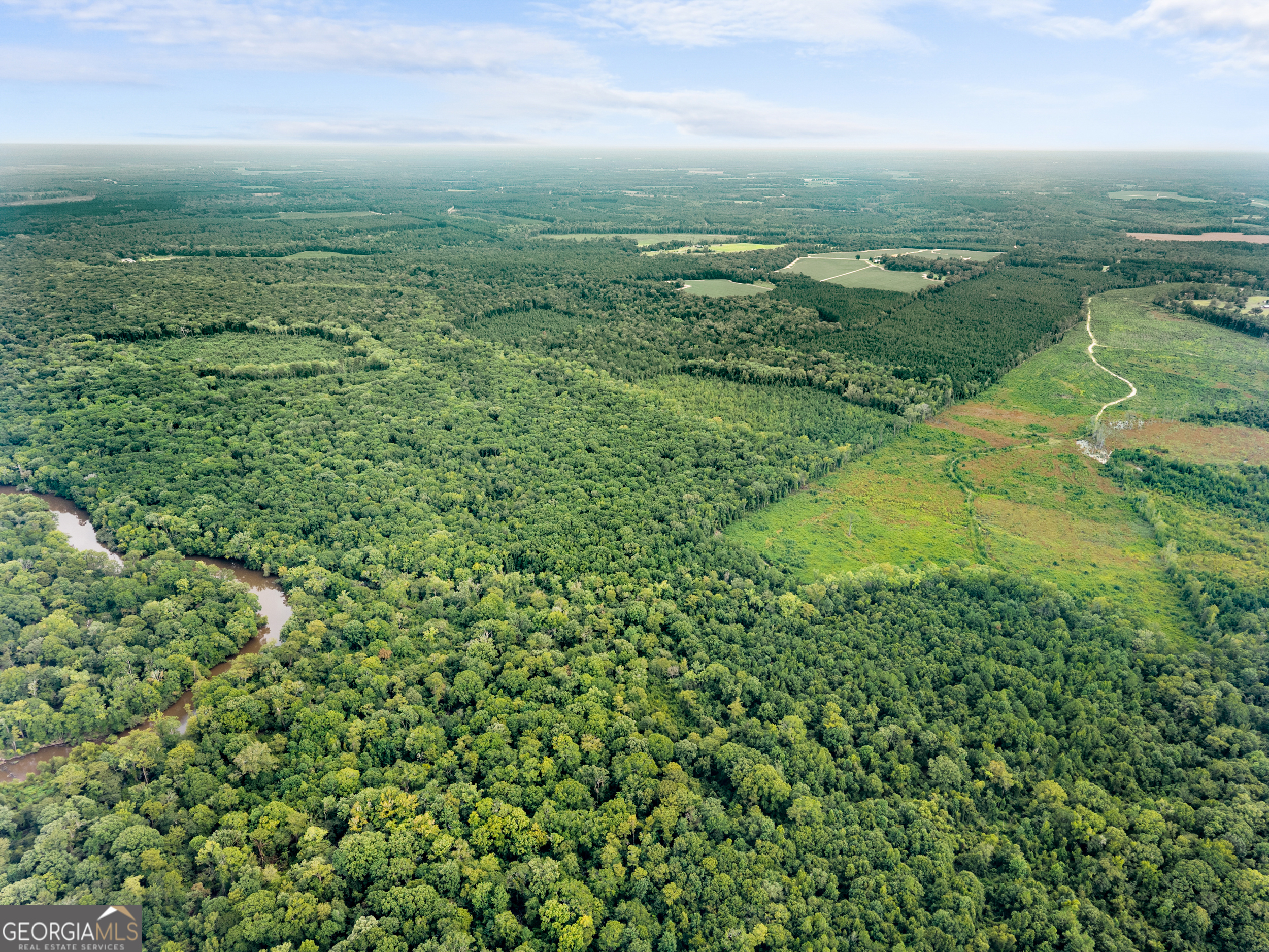 232 Acres Old River Road N Statesboro GA 30461