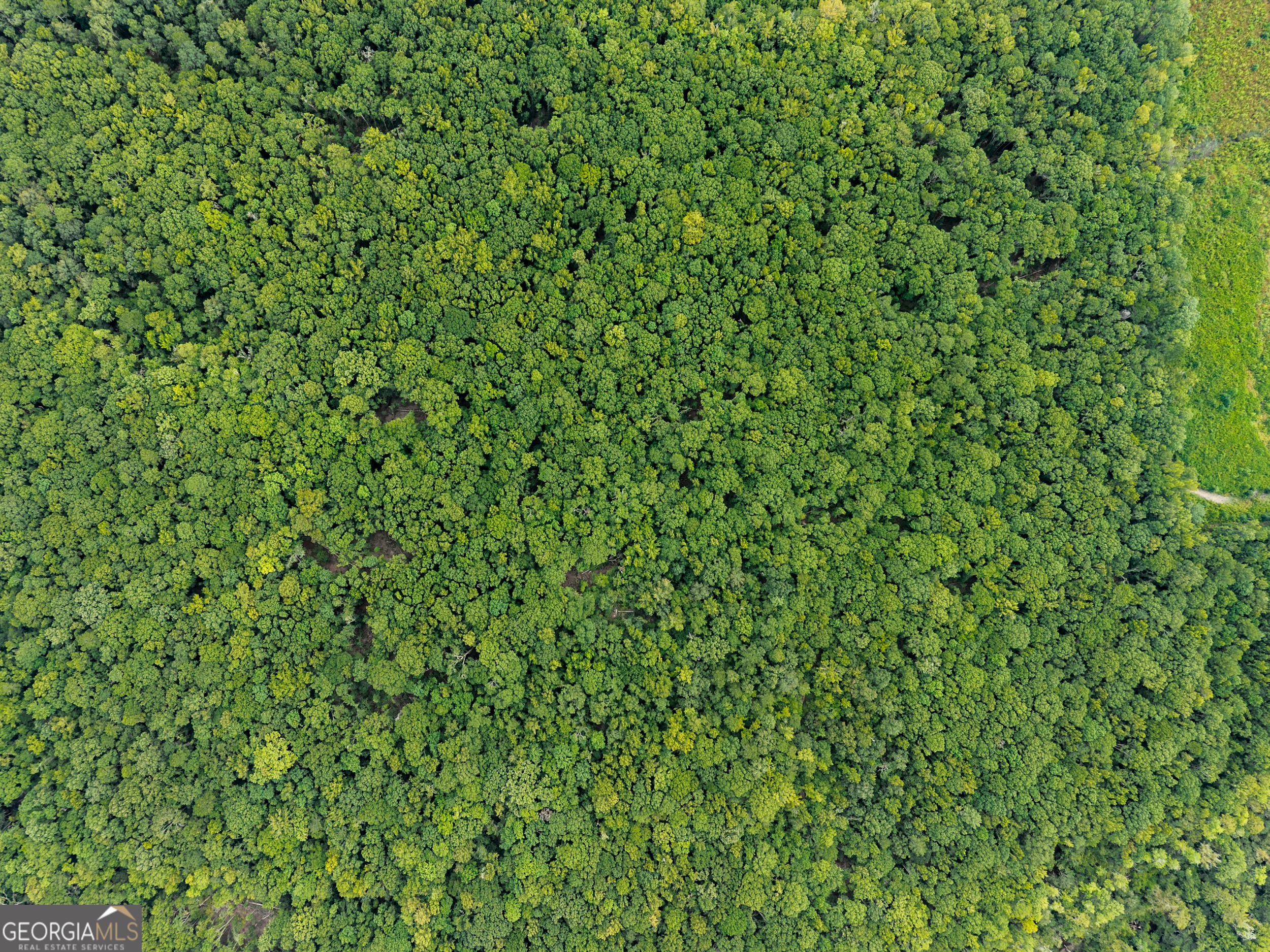 232 Acres Old River Road N Statesboro GA 30461