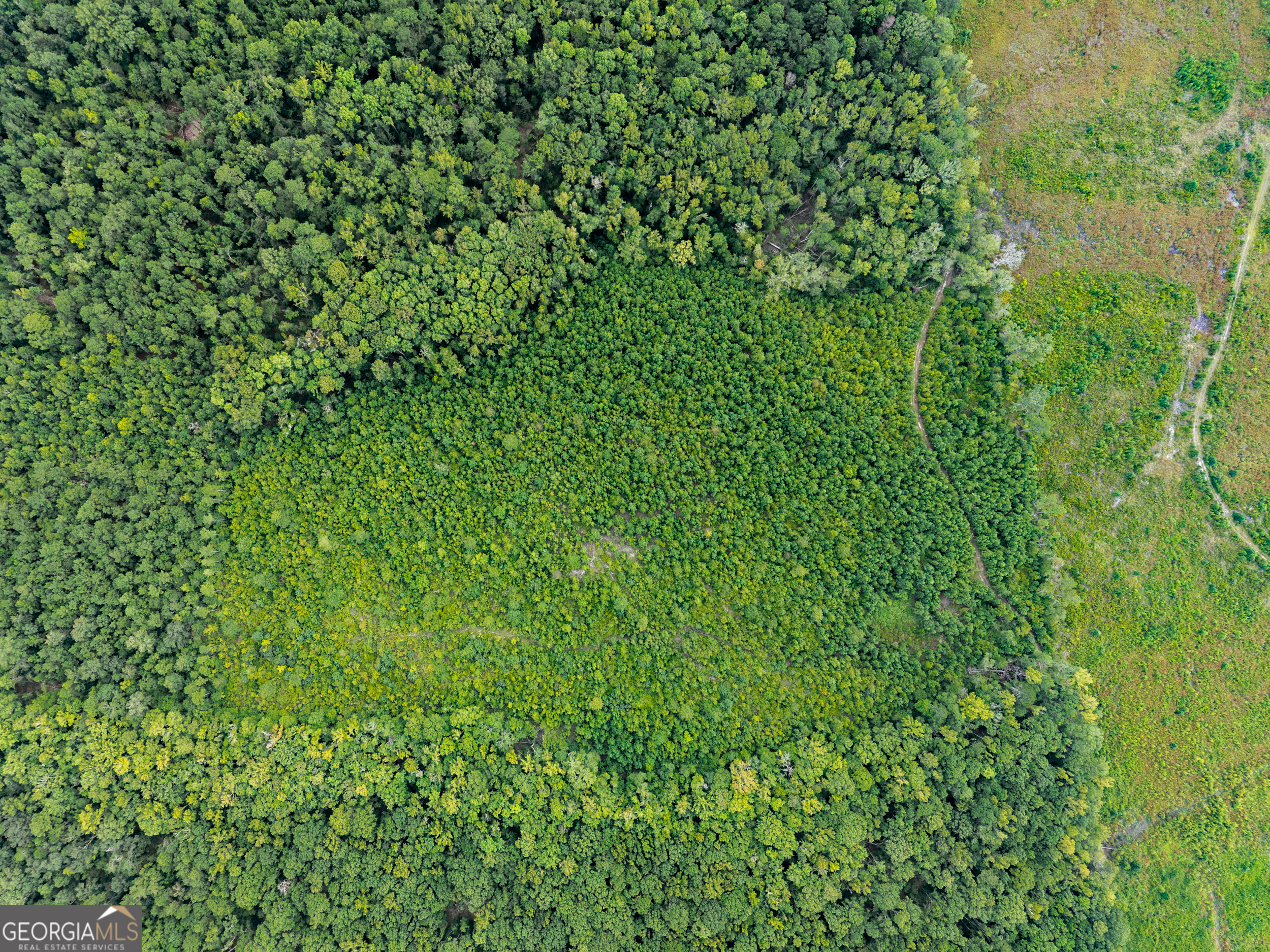 232 Acres Old River Road N Statesboro GA 30461