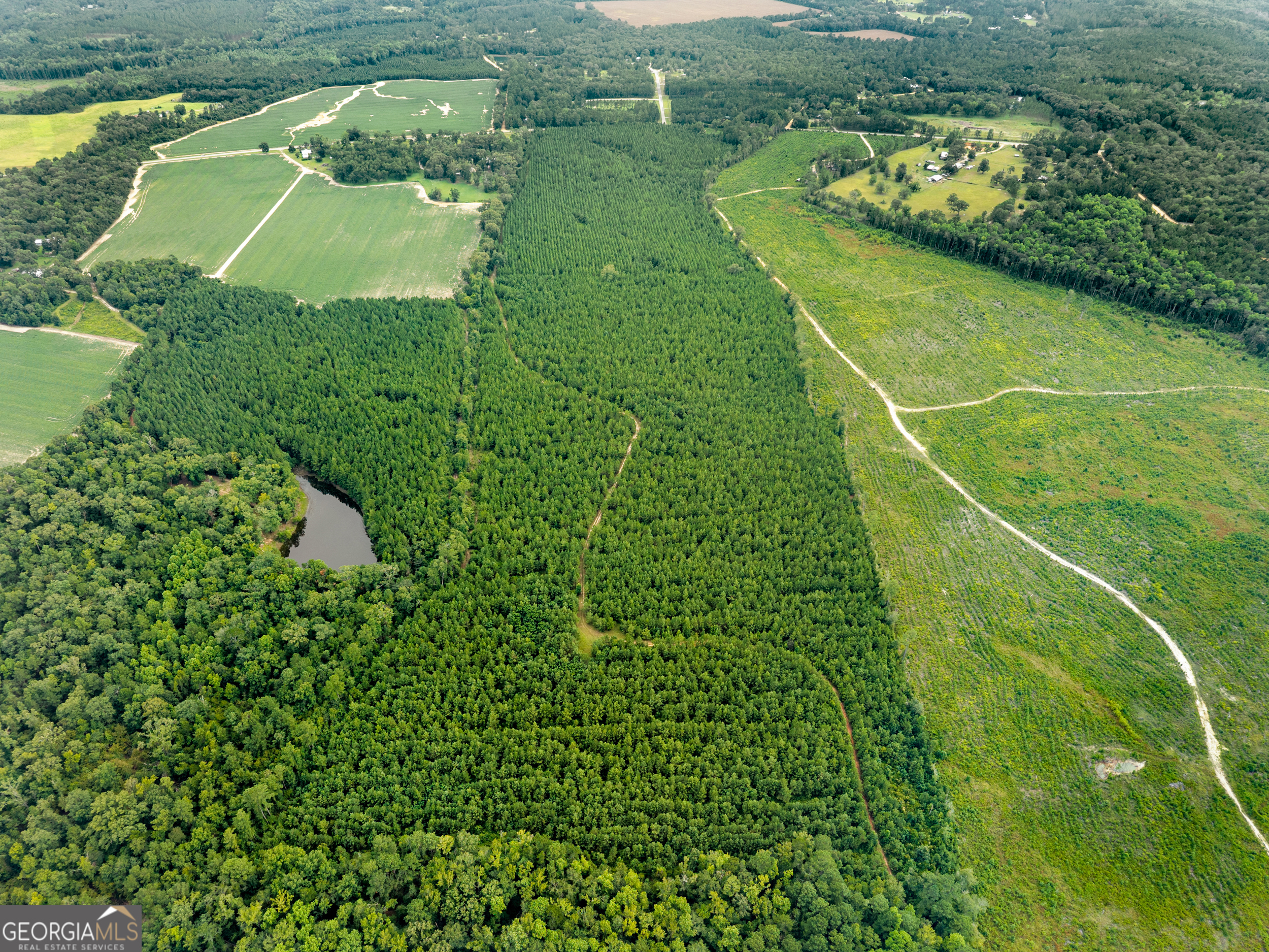 232 Acres Old River Road N Statesboro GA 30461