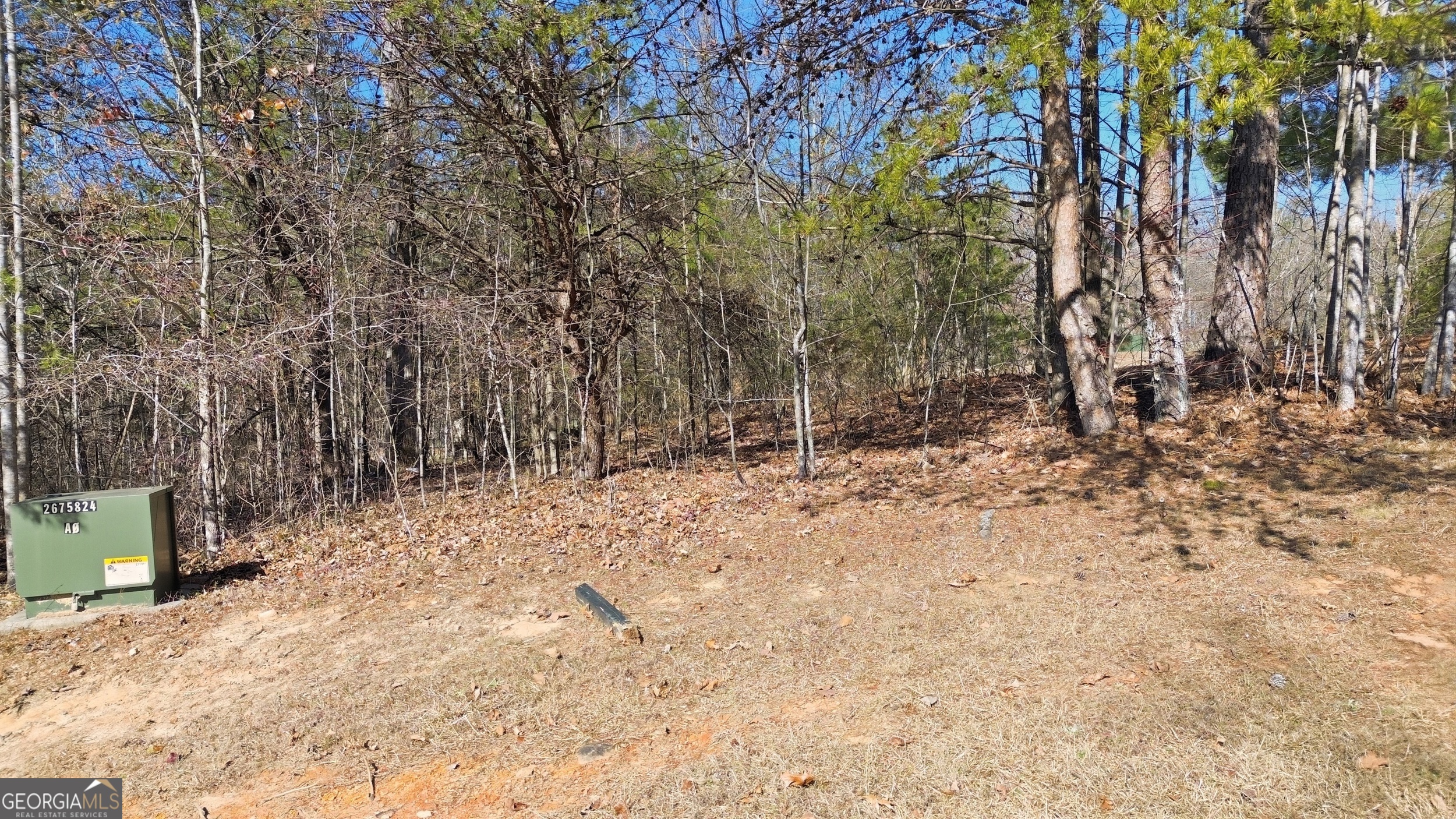 12 Wards Pond Way Toccoa GA 30577