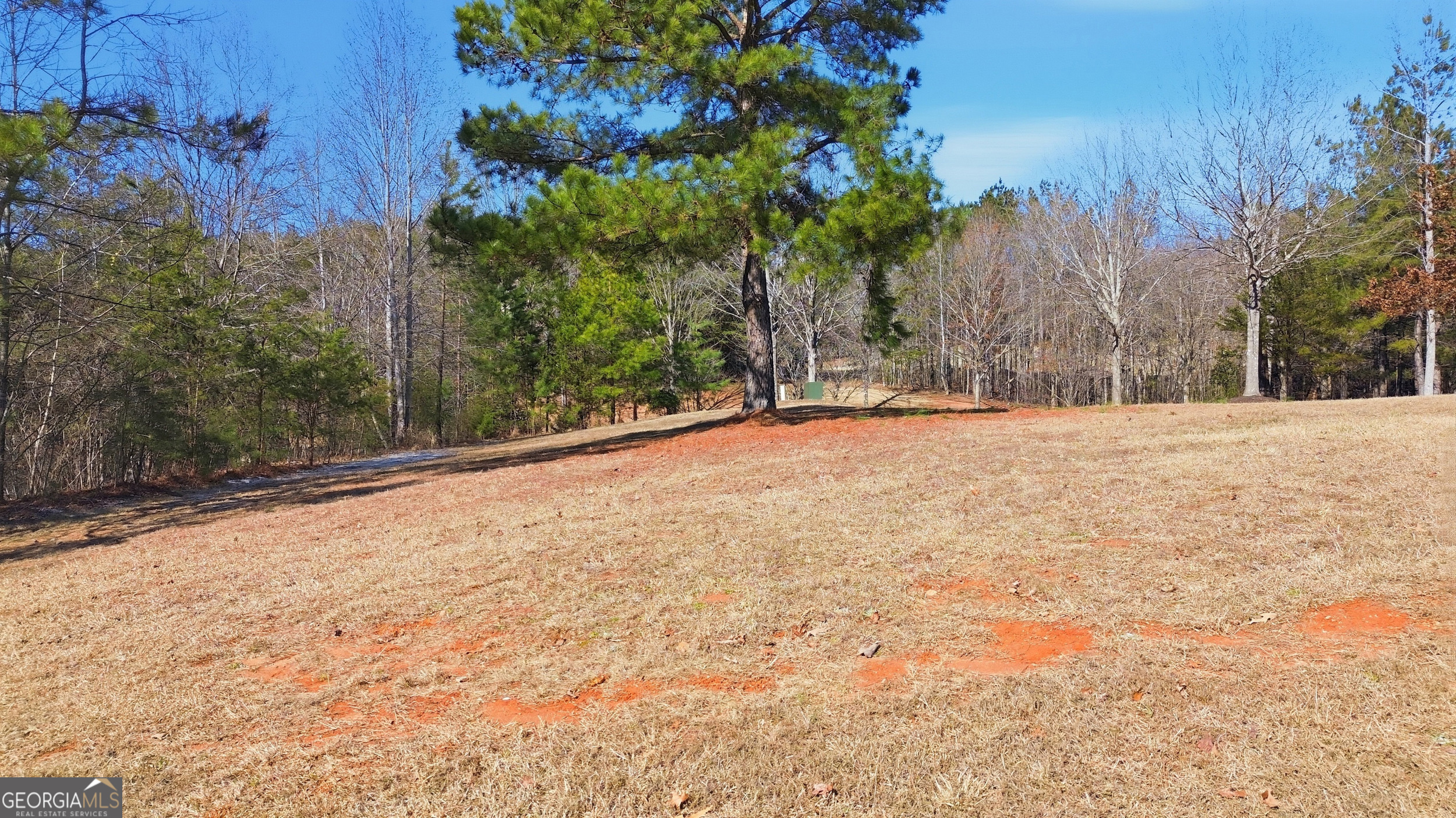 12 Wards Pond Way Toccoa GA 30577
