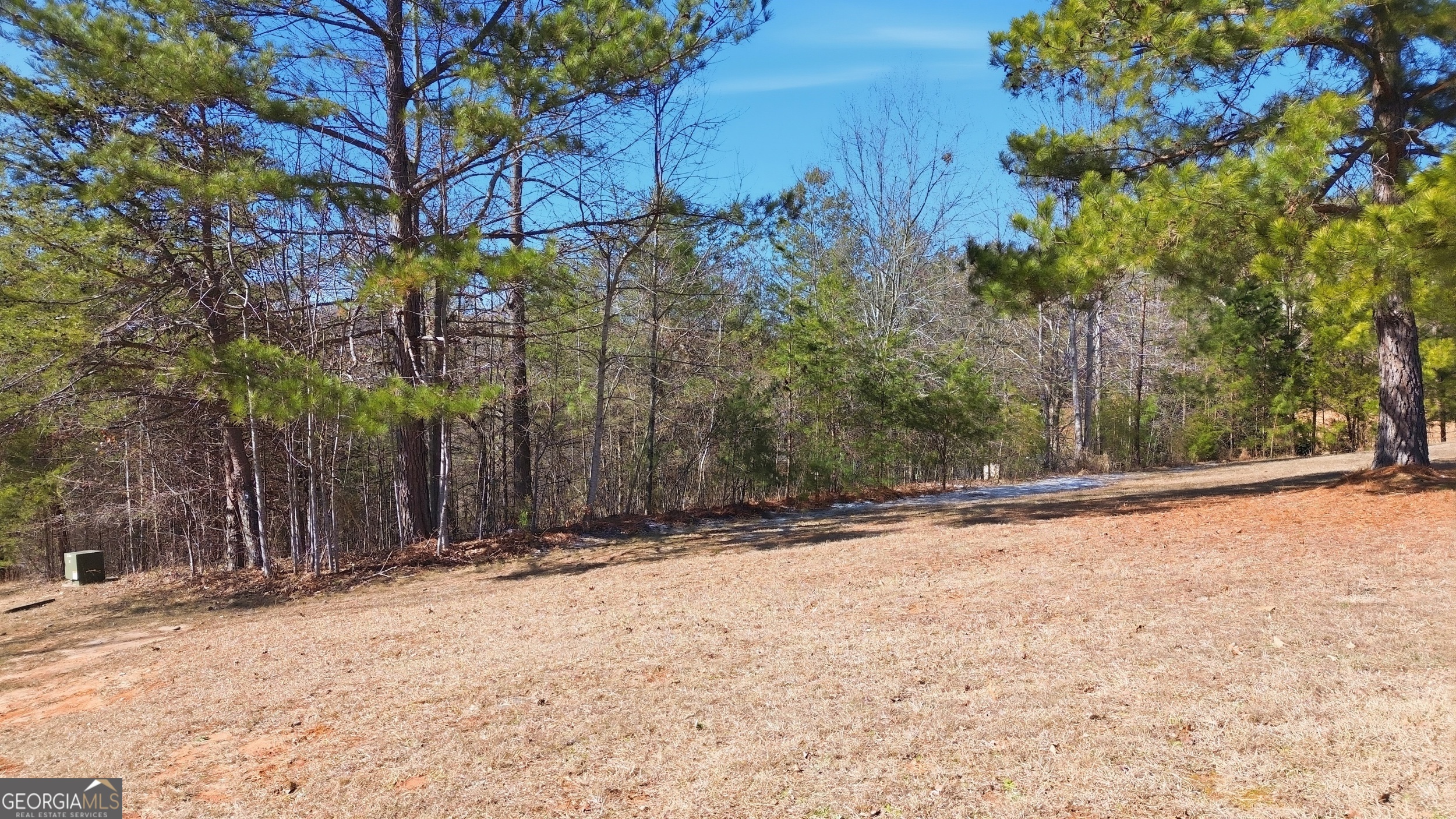 12 Wards Pond Way Toccoa GA 30577