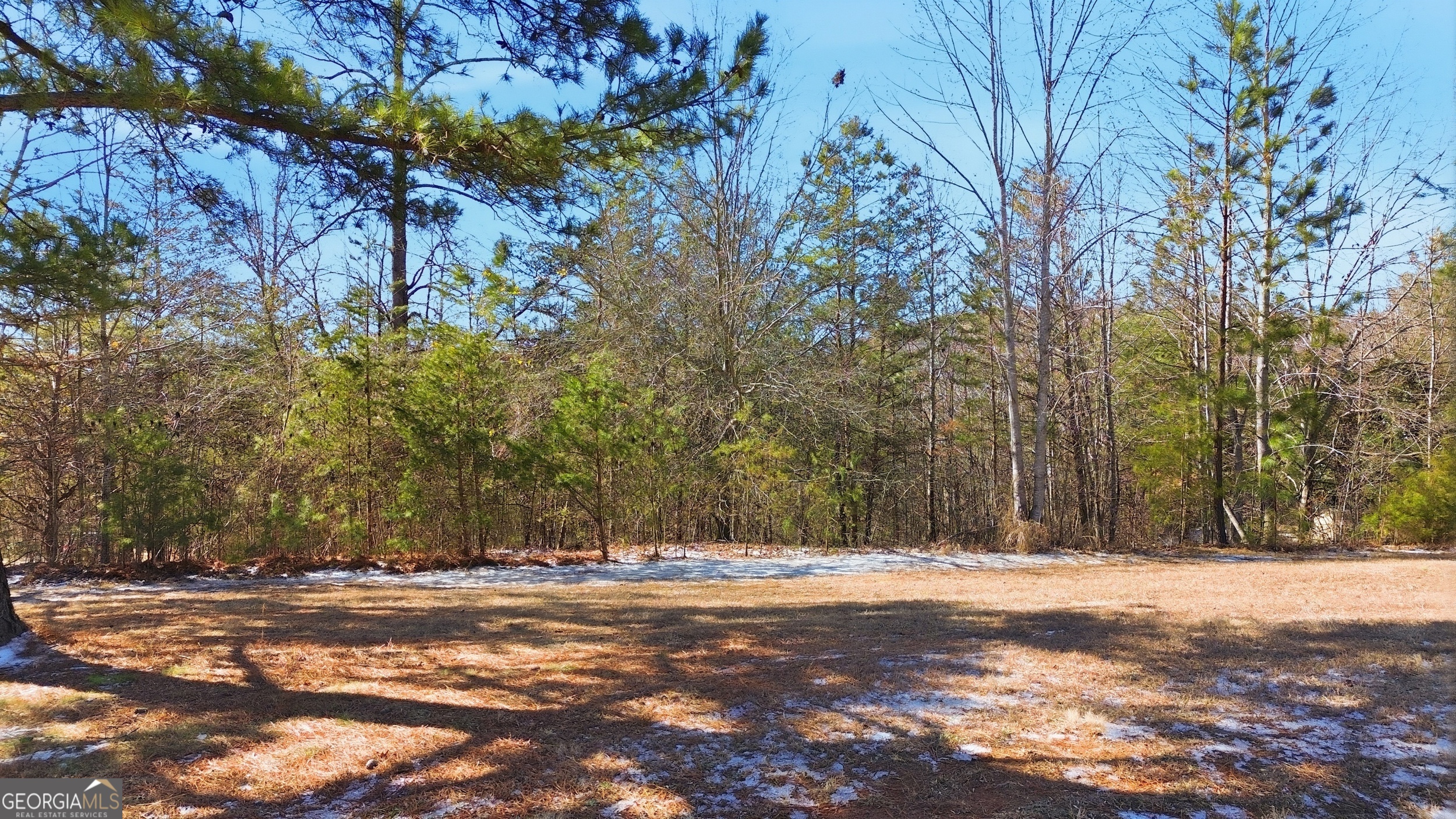 12 Wards Pond Way Toccoa GA 30577