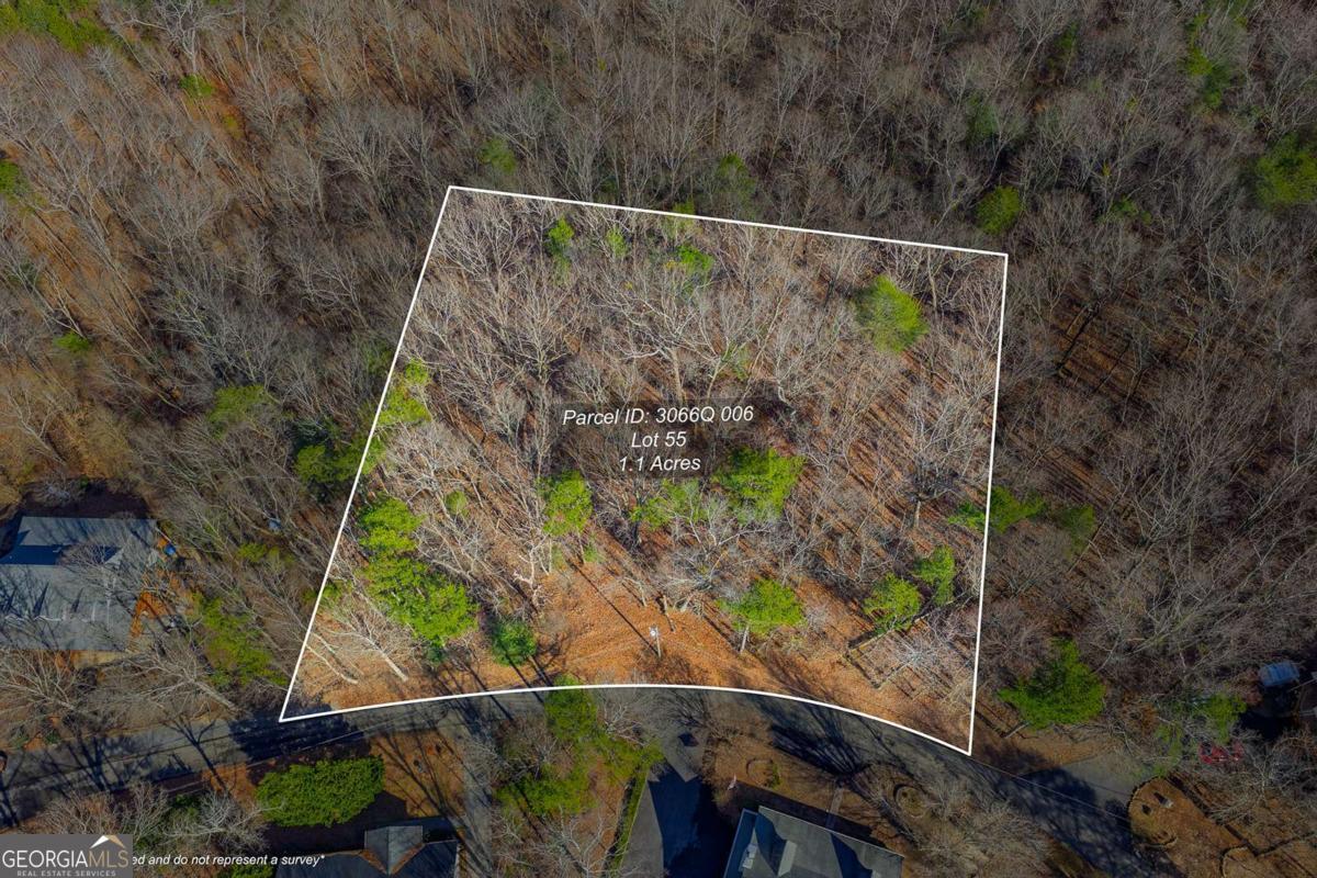 55 Spruce Drive Ellijay GA 30540