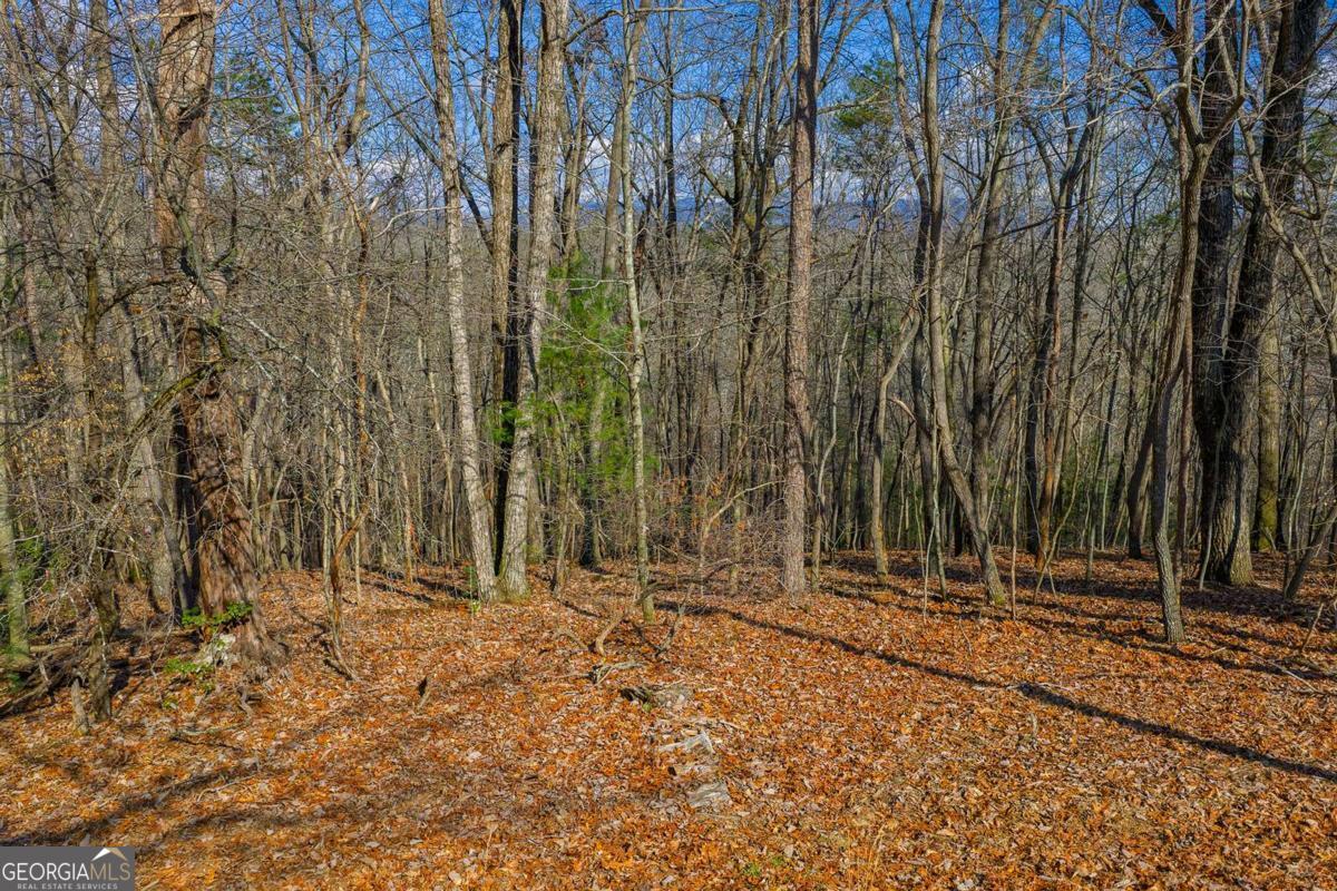 55 Spruce Drive Ellijay GA 30540