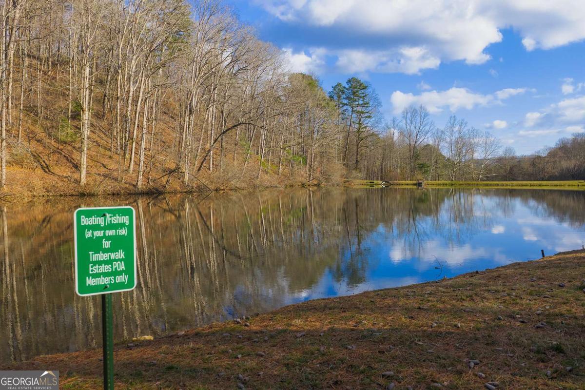 55 Spruce Drive Ellijay GA 30540