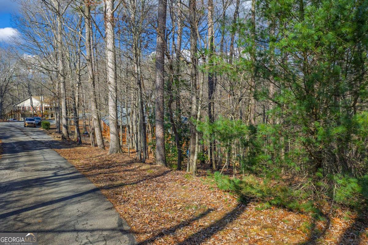 55 Spruce Drive Ellijay GA 30540