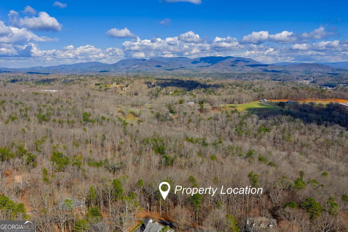 55 Spruce Drive Ellijay GA 30540