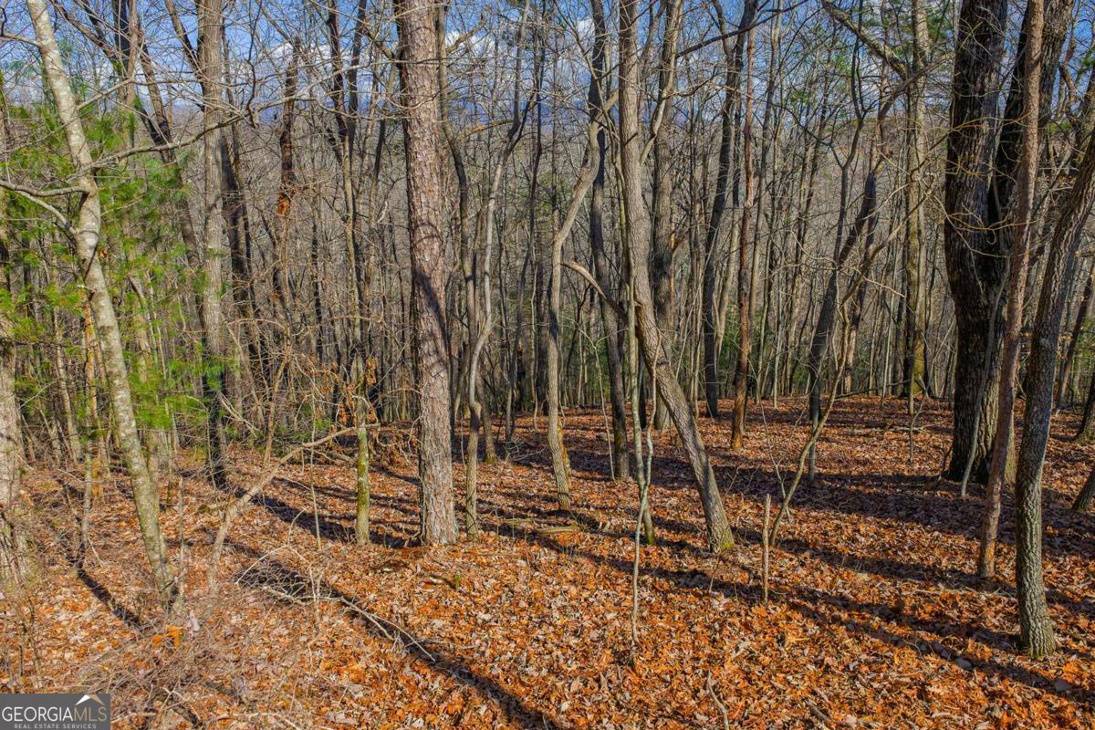 55 Spruce Drive Ellijay GA 30540