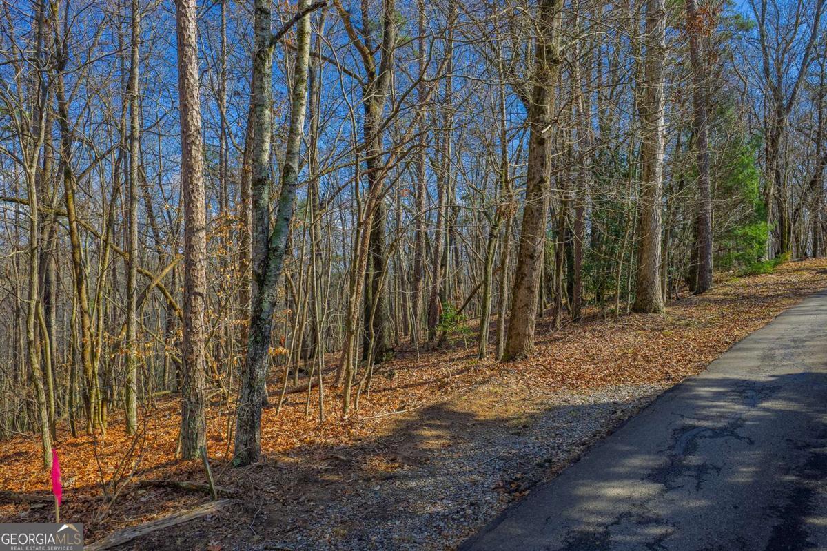 55 Spruce Drive Ellijay GA 30540