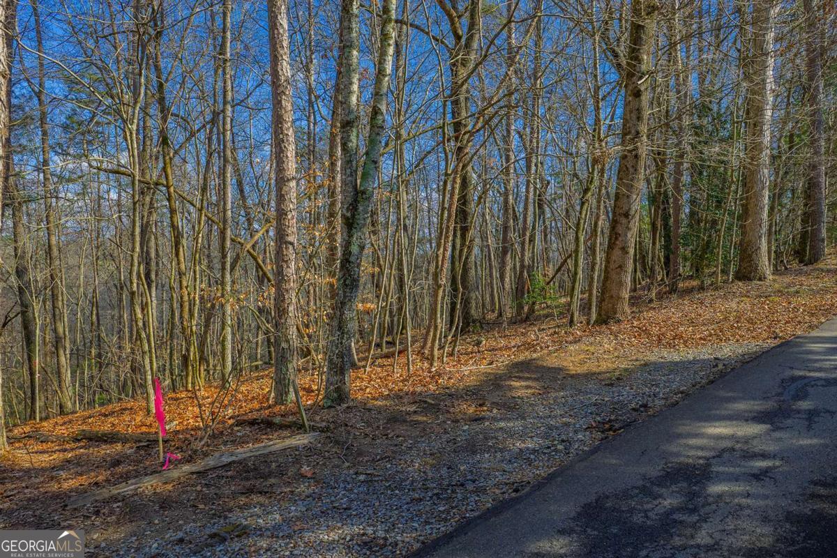 55 Spruce Drive Ellijay GA 30540