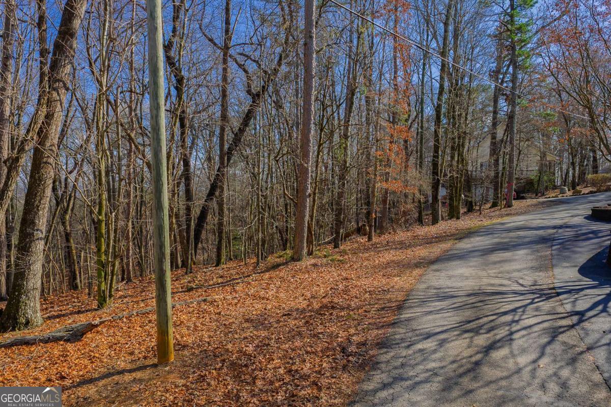55 Spruce Drive Ellijay GA 30540