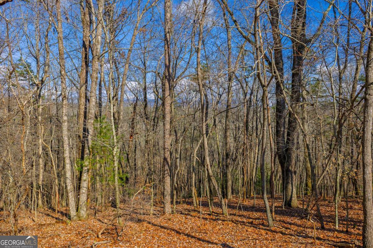 55 Spruce Drive Ellijay GA 30540